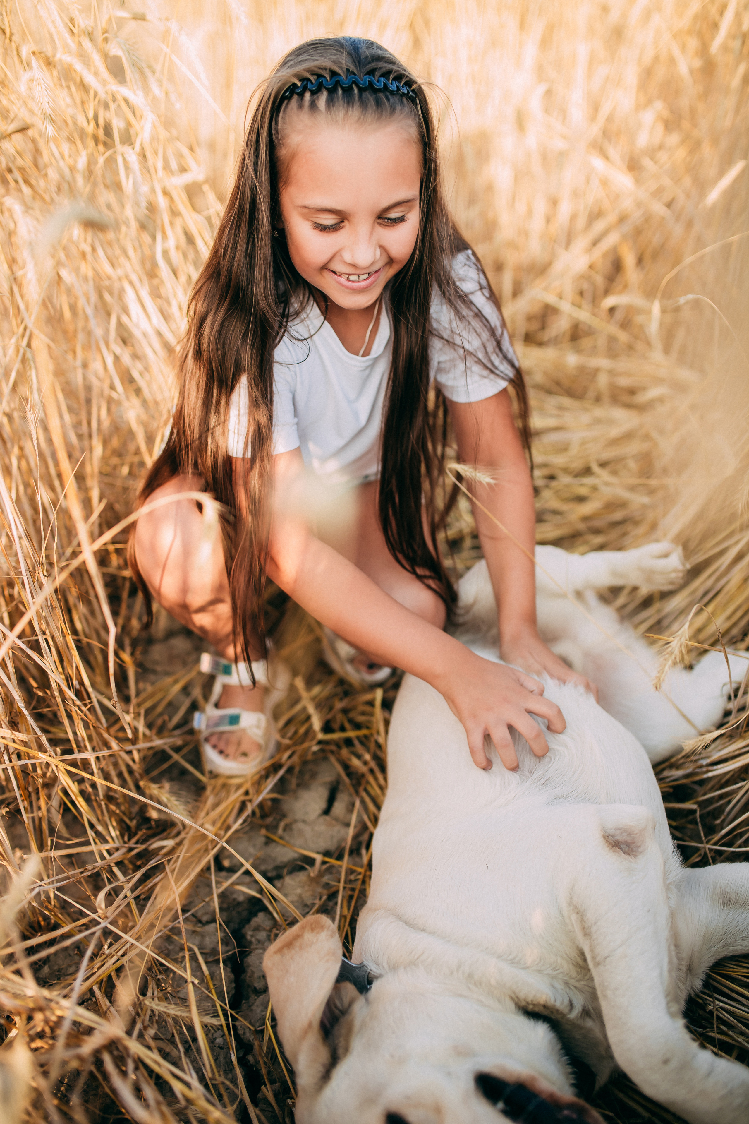 Поле. Свадебный и семейный фотограф Анастасия Меркуль