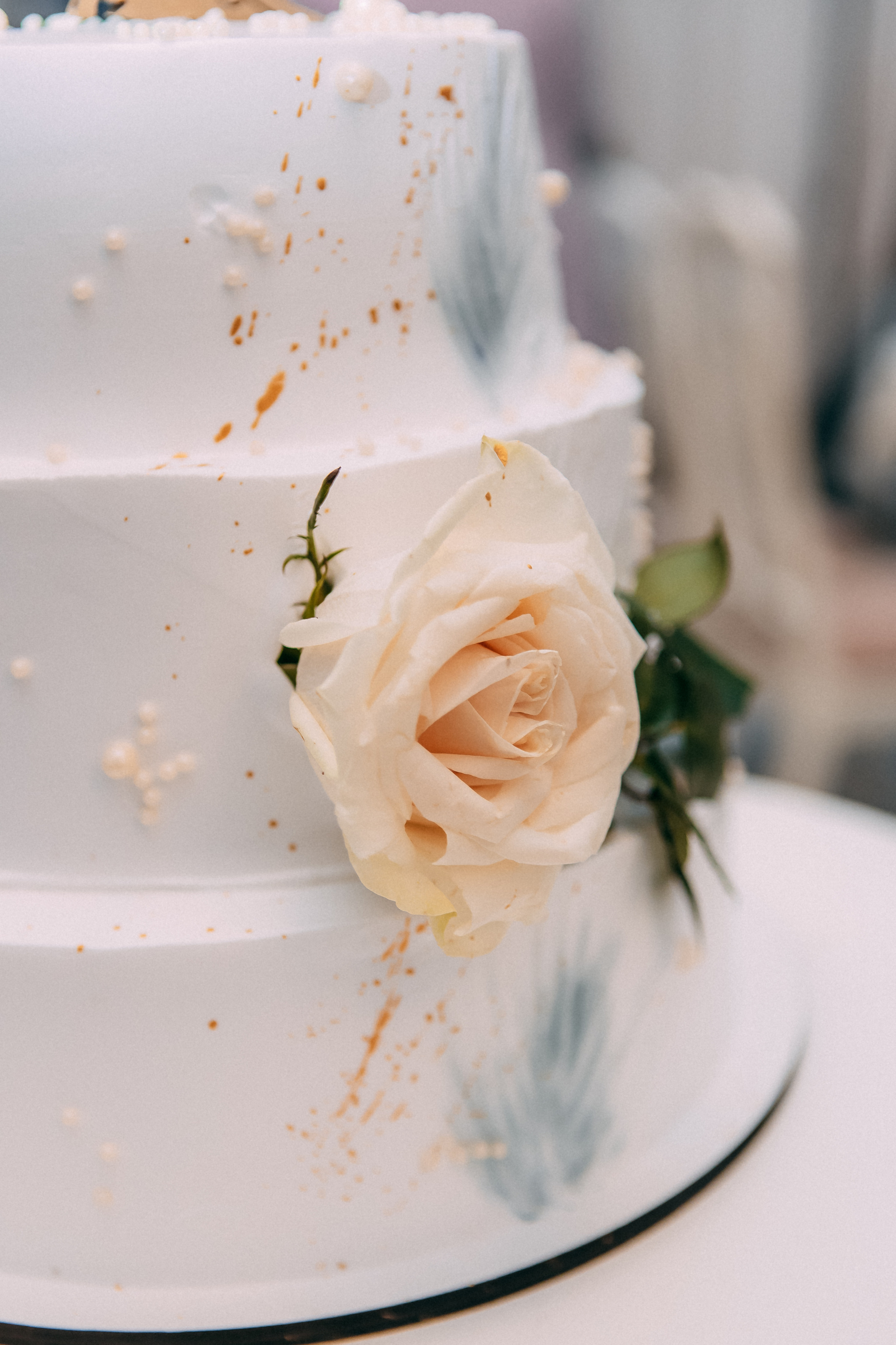 Юрий и Татьяна. Свадебный и семейный фотограф Анастасия Меркуль