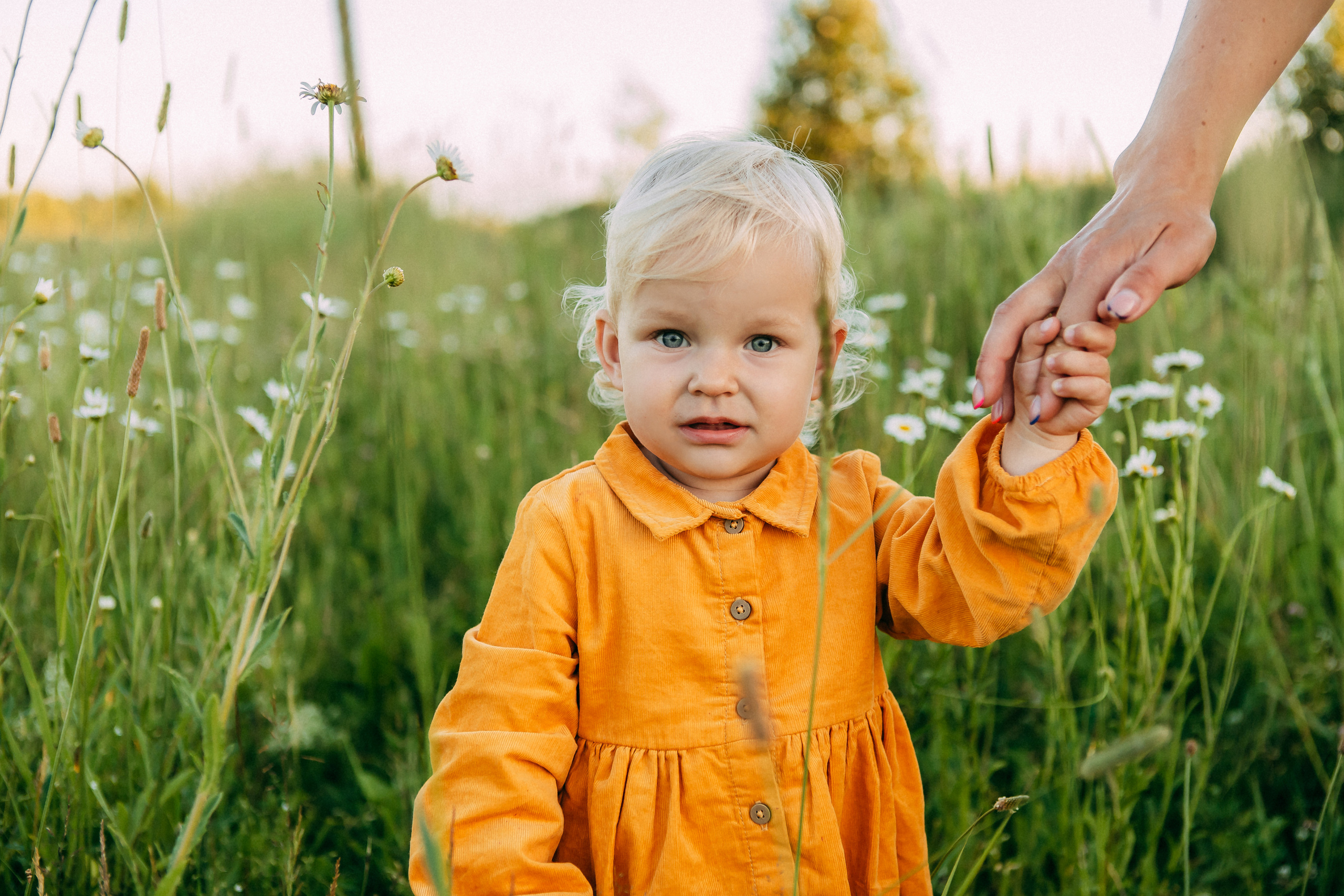 Карьер. Свадебный и семейный фотограф Анастасия Меркуль