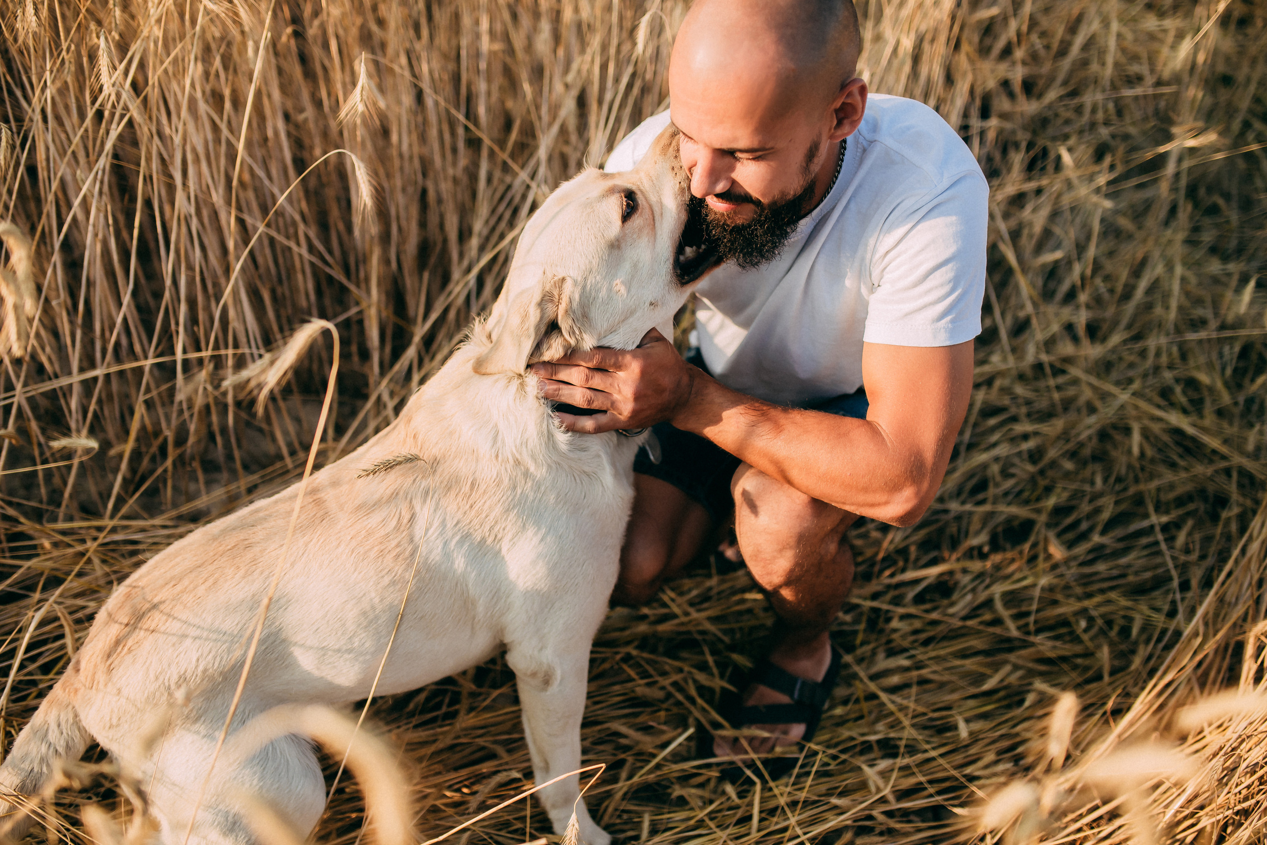 Поле. Свадебный и семейный фотограф Анастасия Меркуль