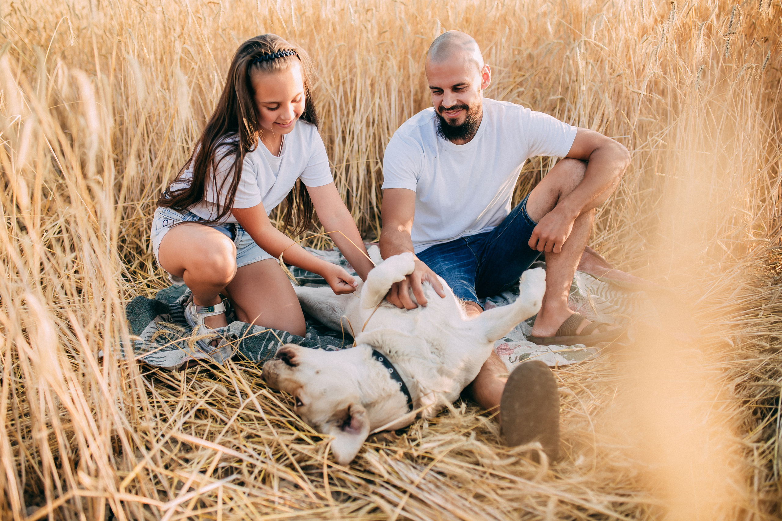 Поле. Свадебный и семейный фотограф Анастасия Меркуль
