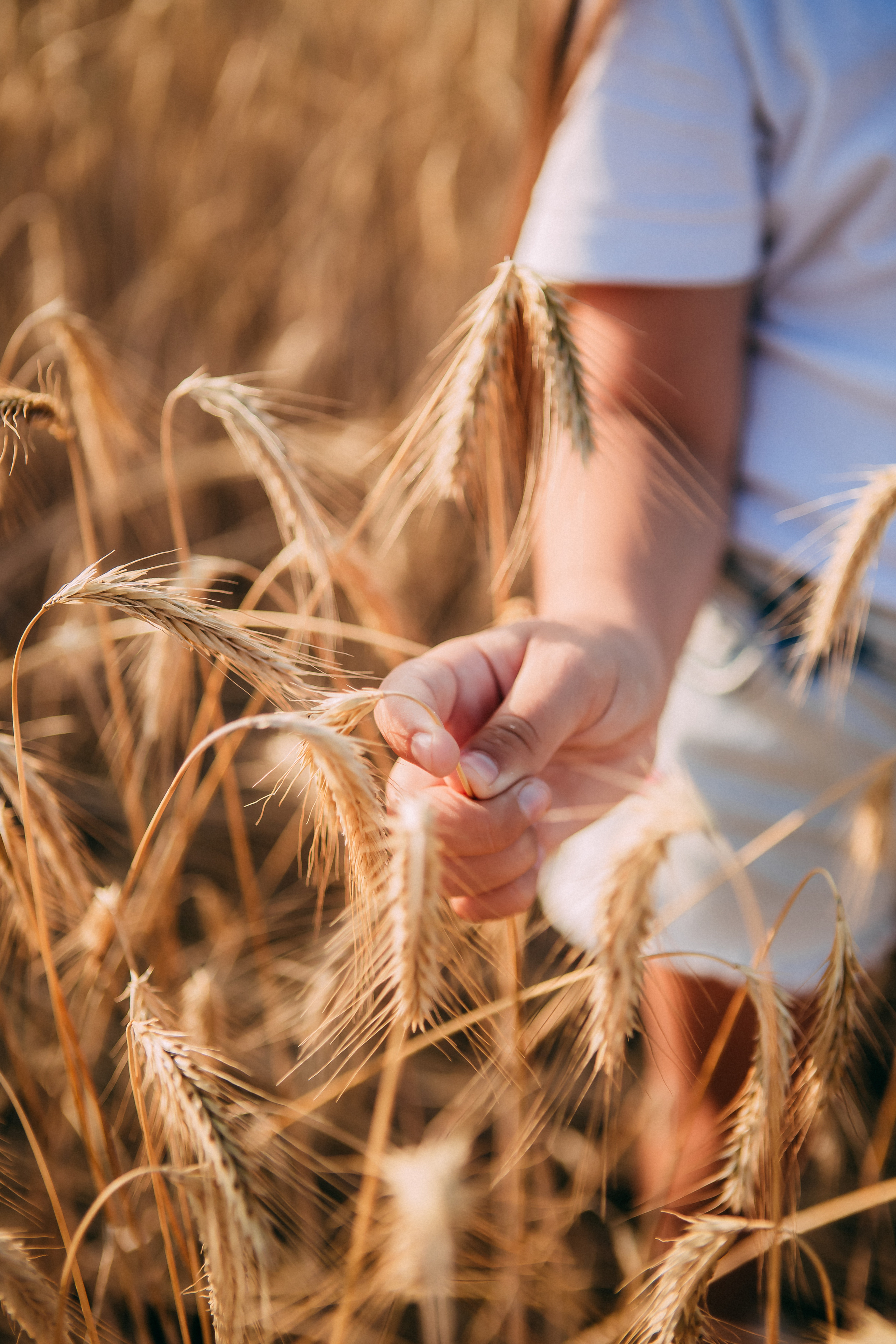 Поле. Свадебный и семейный фотограф Анастасия Меркуль