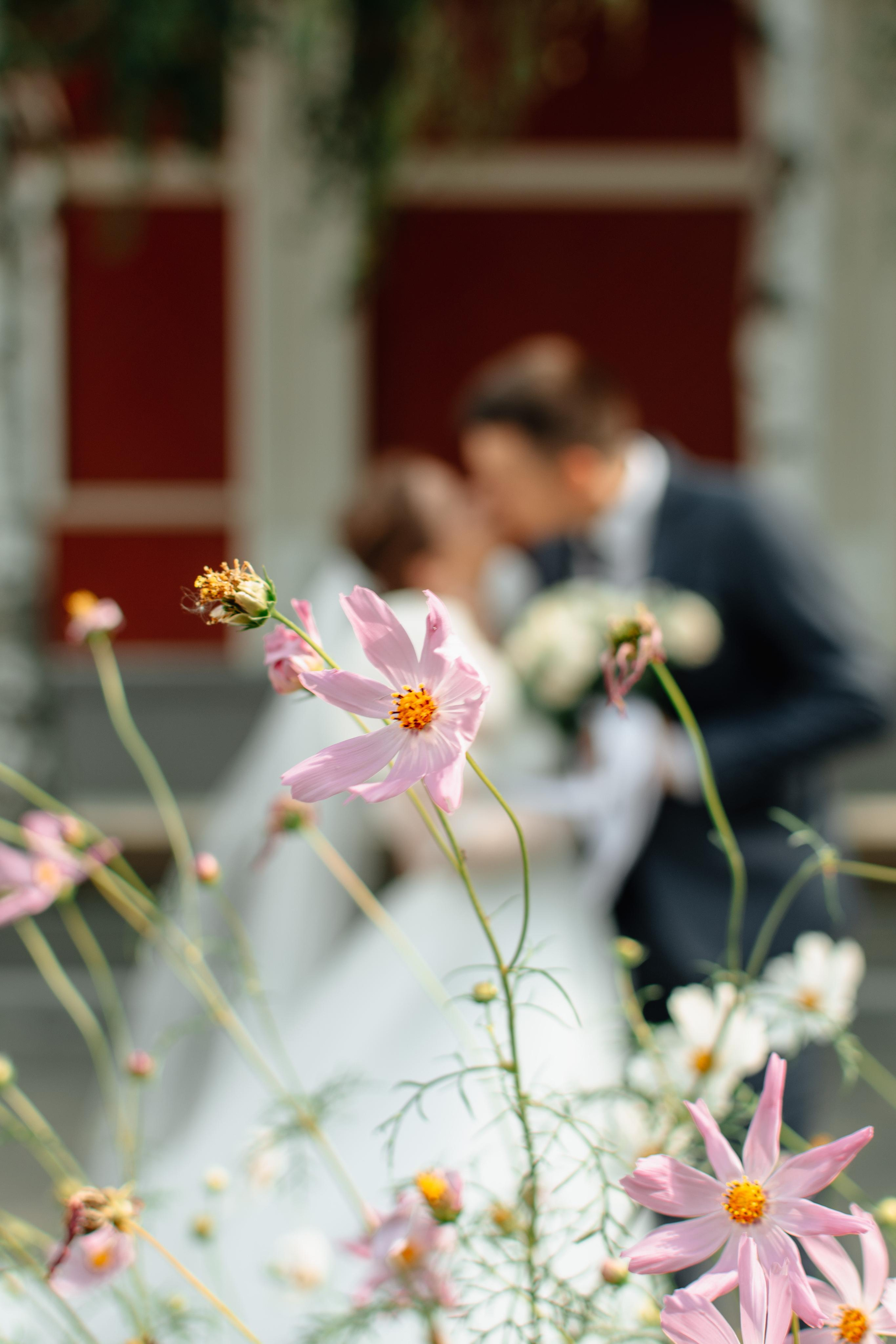 Студийные съемки. Фотограф и видеограф Станислав Кольцун