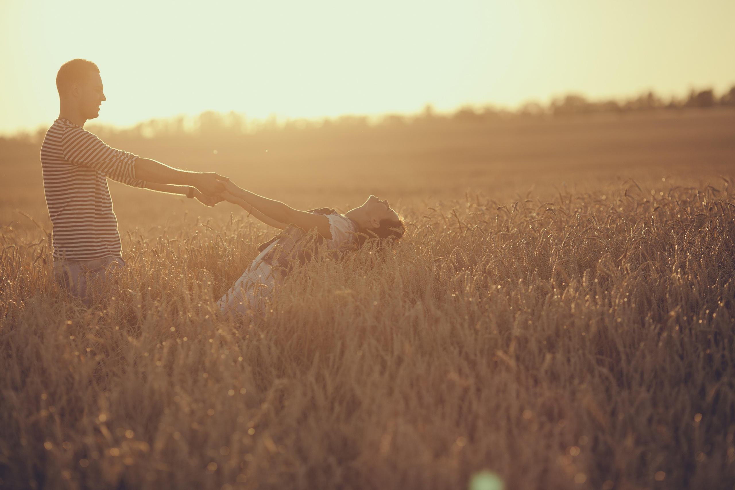 Поля пшеницы М5. Wedding photographer