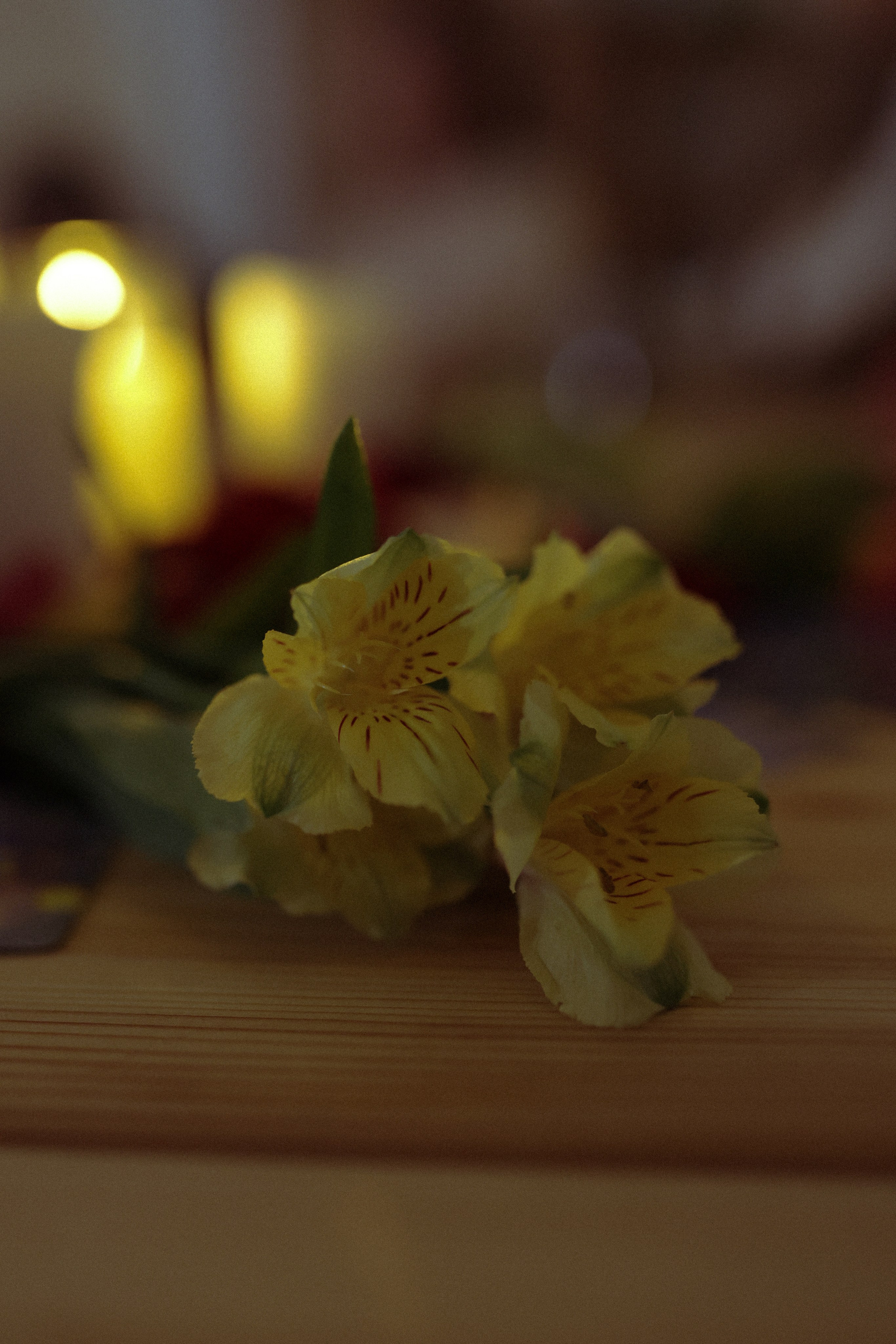 Женское мероприятие «Экстатика». Настя Оленченко, портретный/семейный фотограф на цифру и плёнку Москва