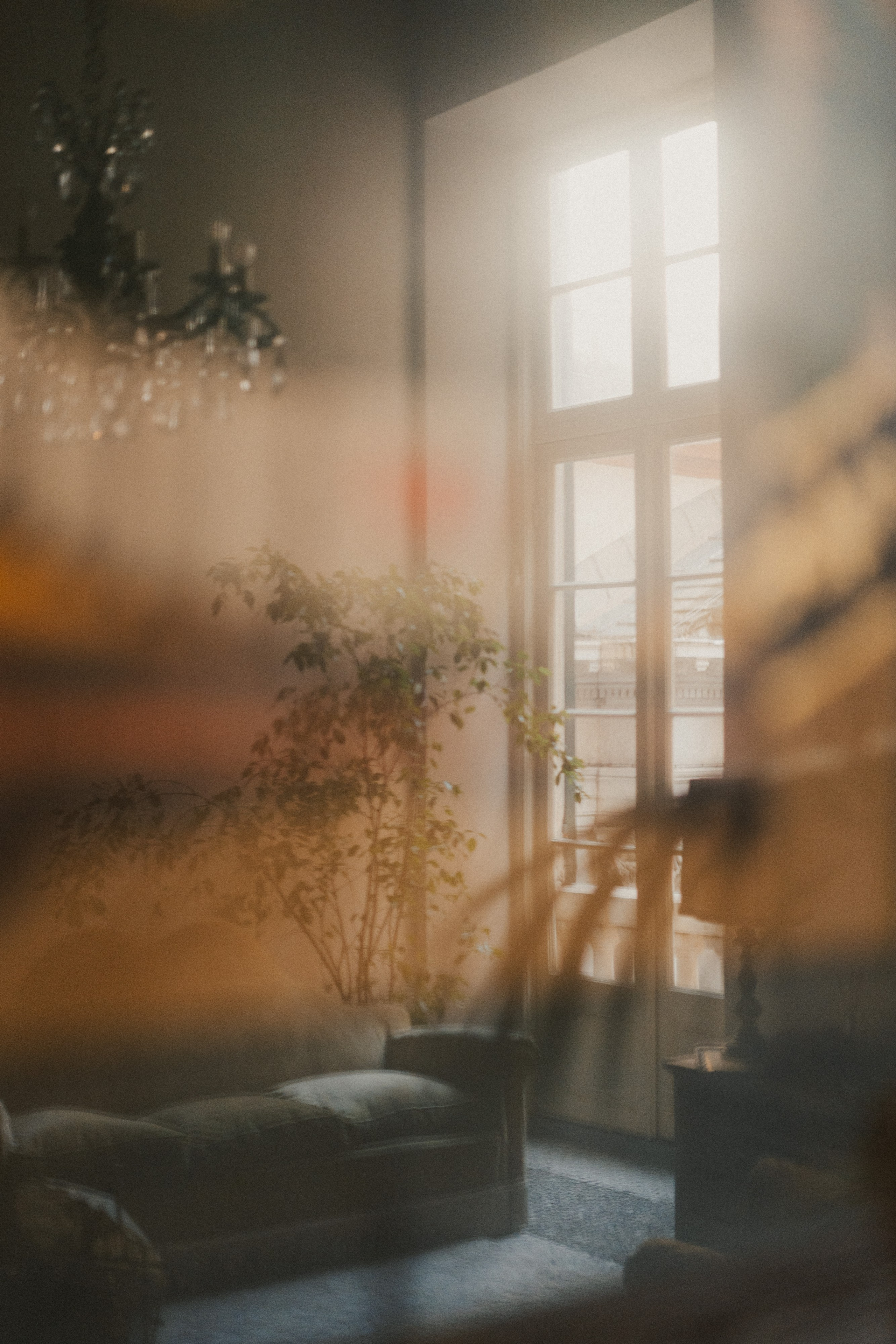 Dimora Almayer | Genoa