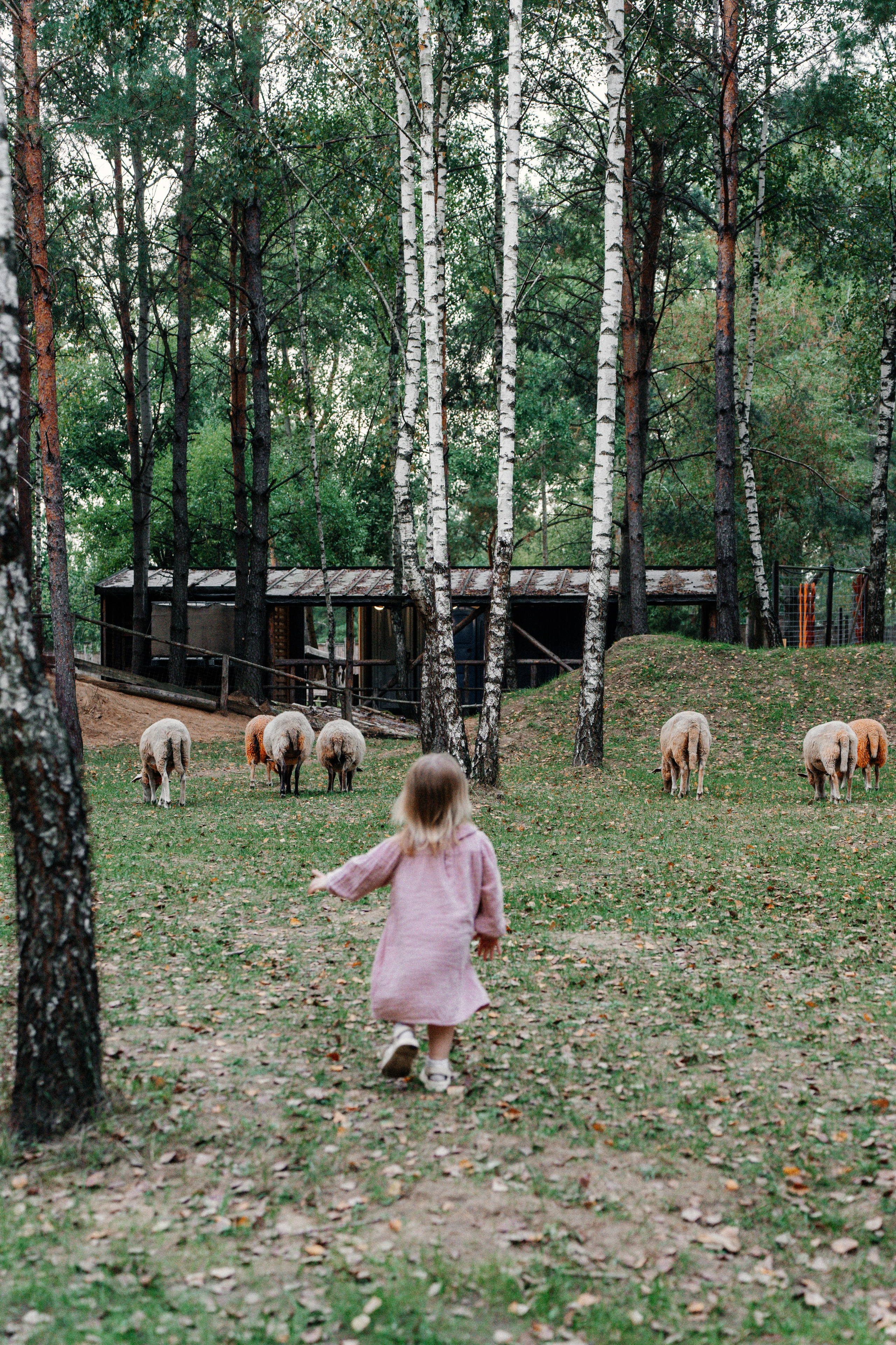 Диприз — в мире диких животных. Ваш семейный фотограф в Минске — Вика Трегубова