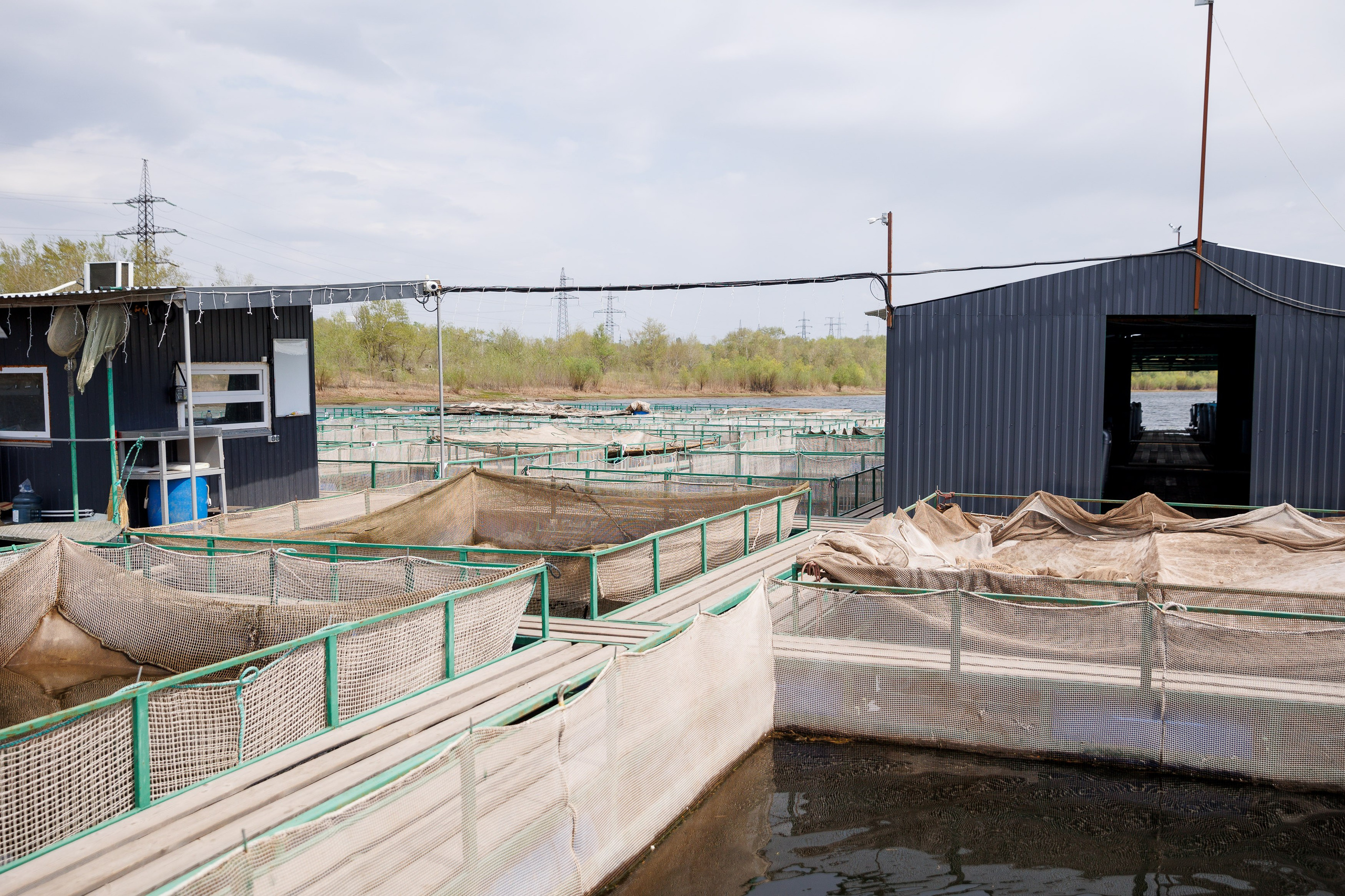 День 2. Конференция. Экскурсия на предприятия + галаужин. Фотограф Шейдаев Эмин г. Волгоград