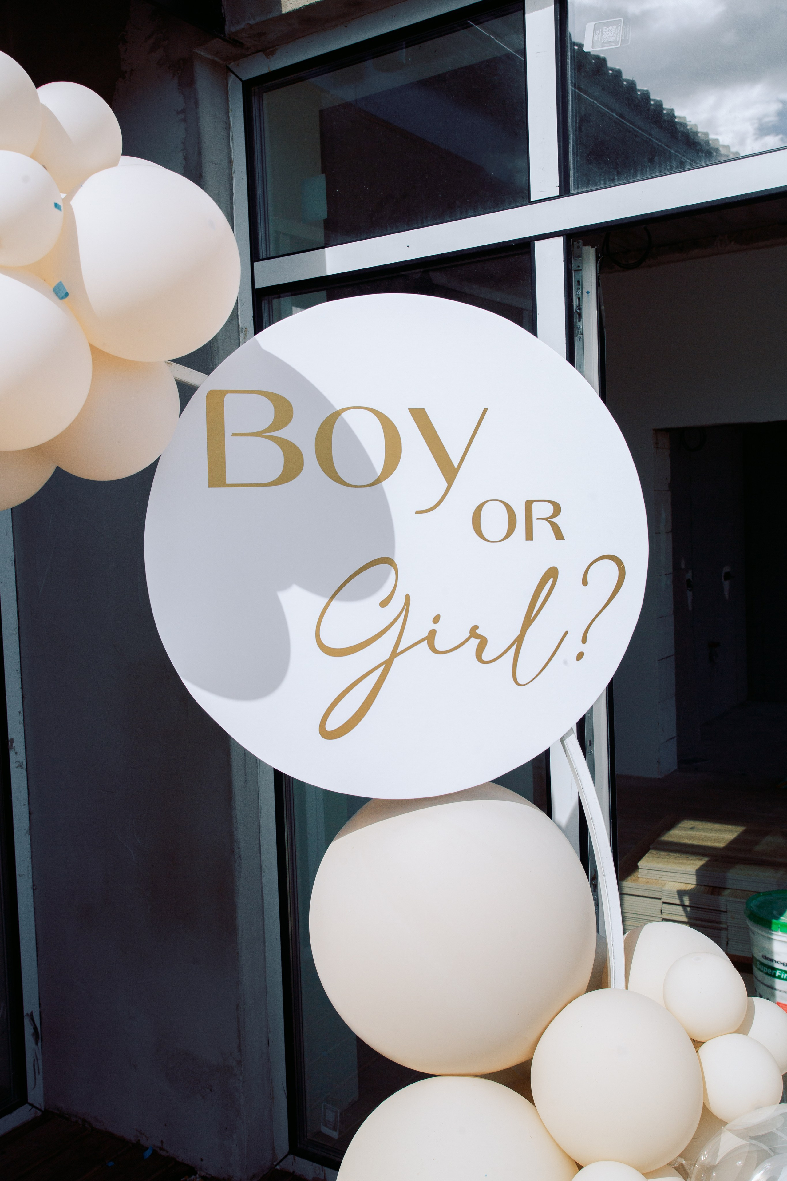 Gender Party. Фотограф Анастасия Залевская