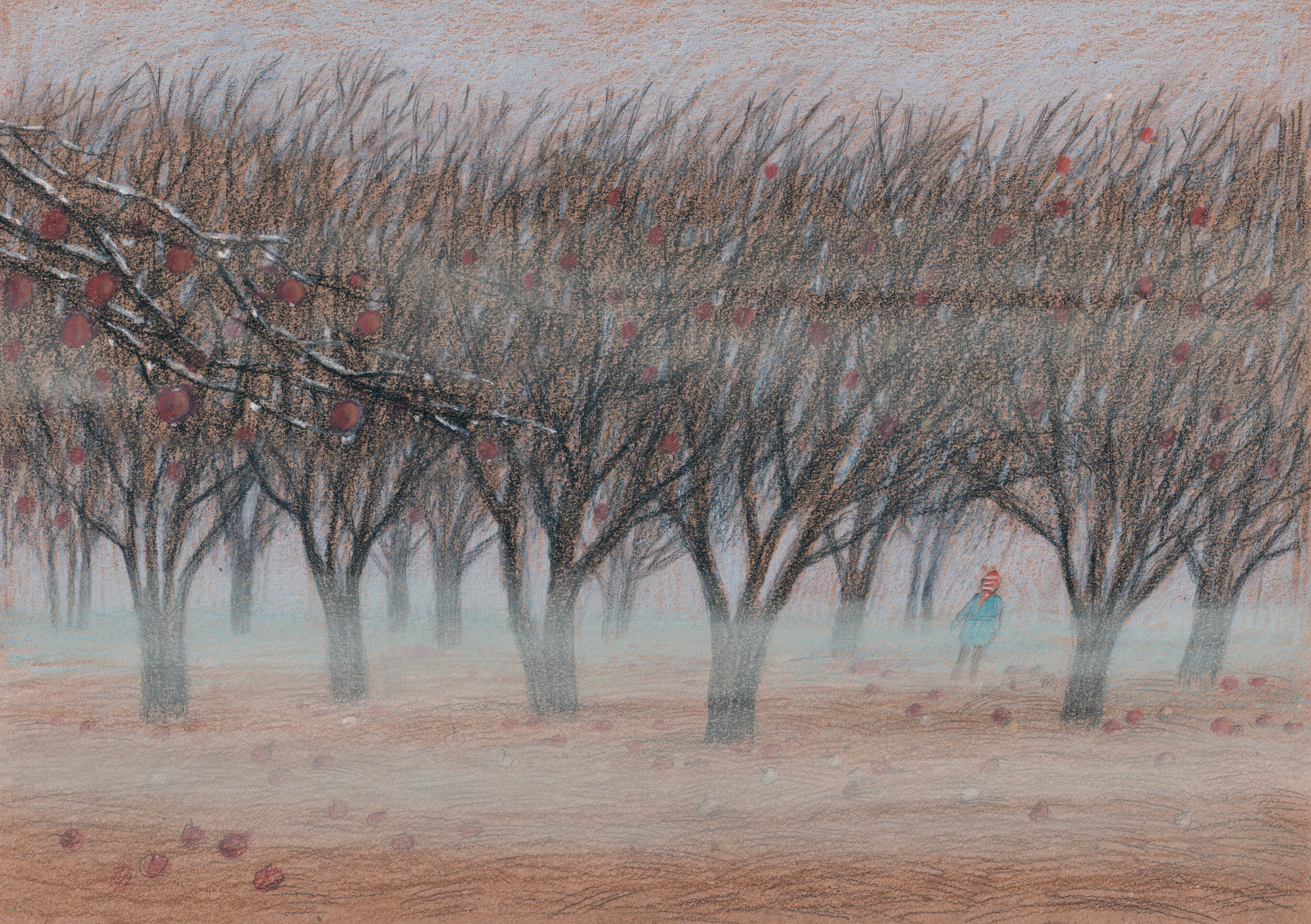 «Таинственный серый» книга Екатерины Мартиновской. Художник Карина Милосердова