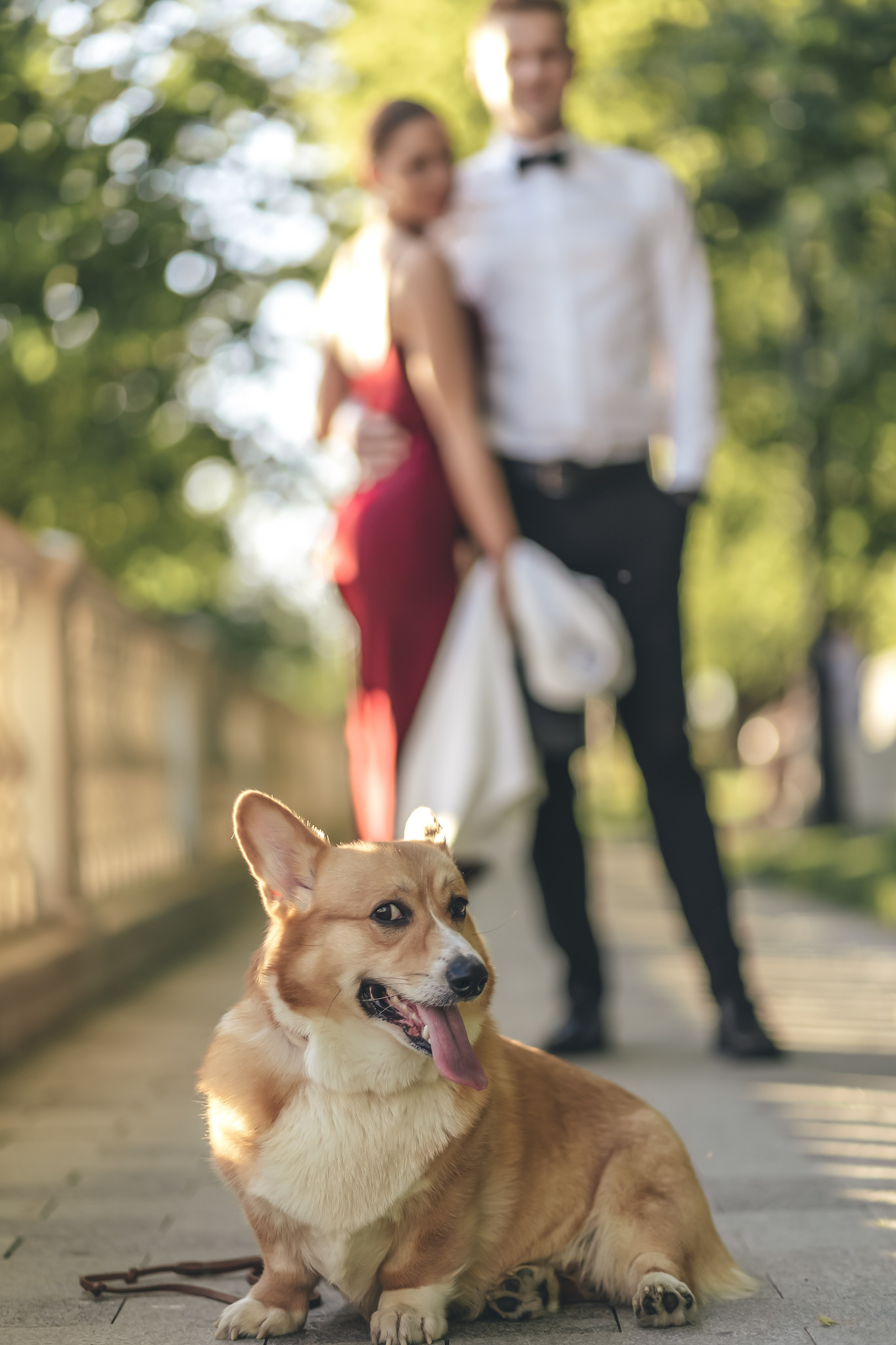 T&D. Свадебный фотограф. Москва. Мытищи