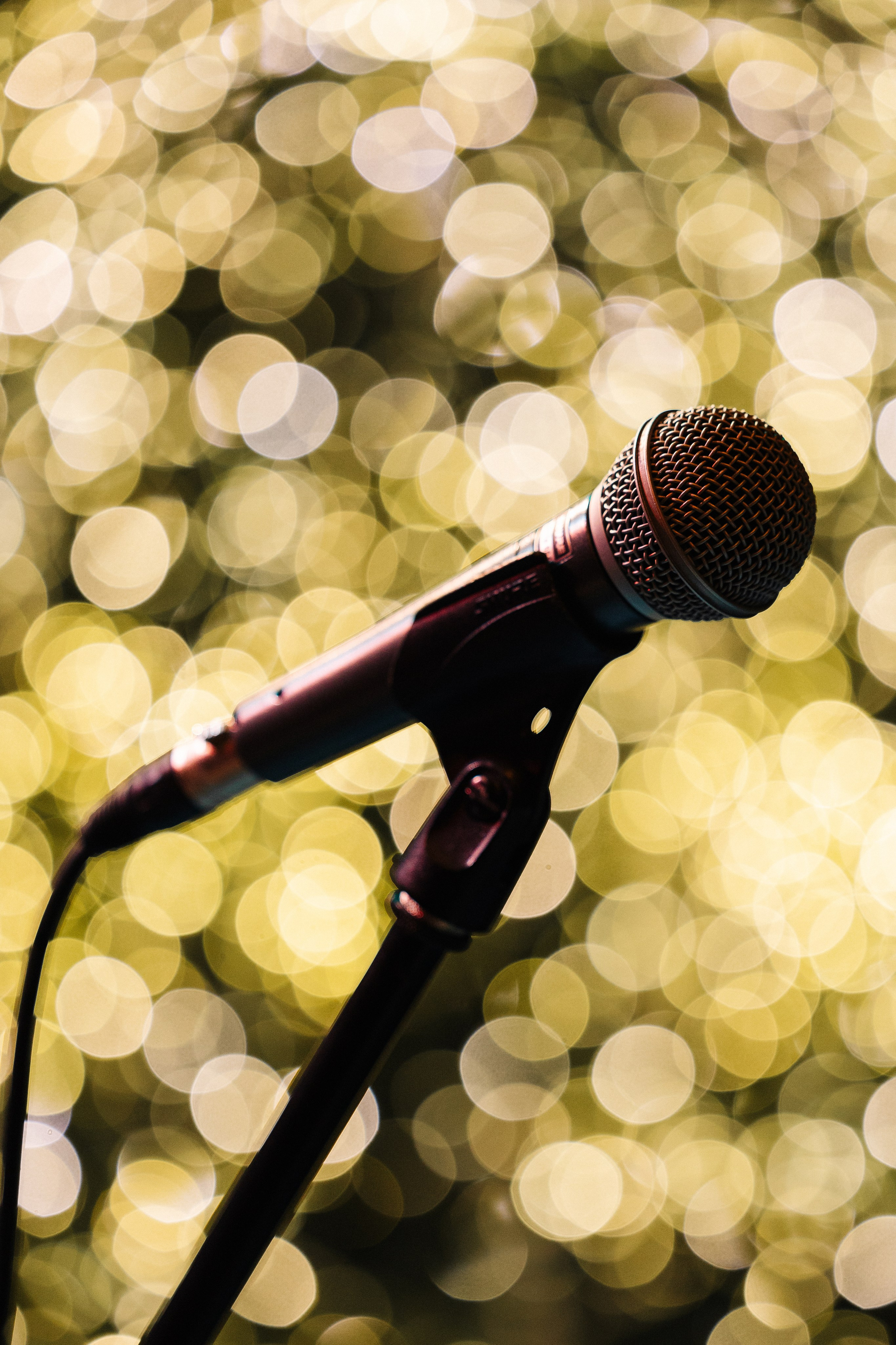 БАРАН РАПАН | РОЖДЕСТВЕНСКИЙ ВЕЧЕР. Фотограф в Сочи Екатерина Потапова