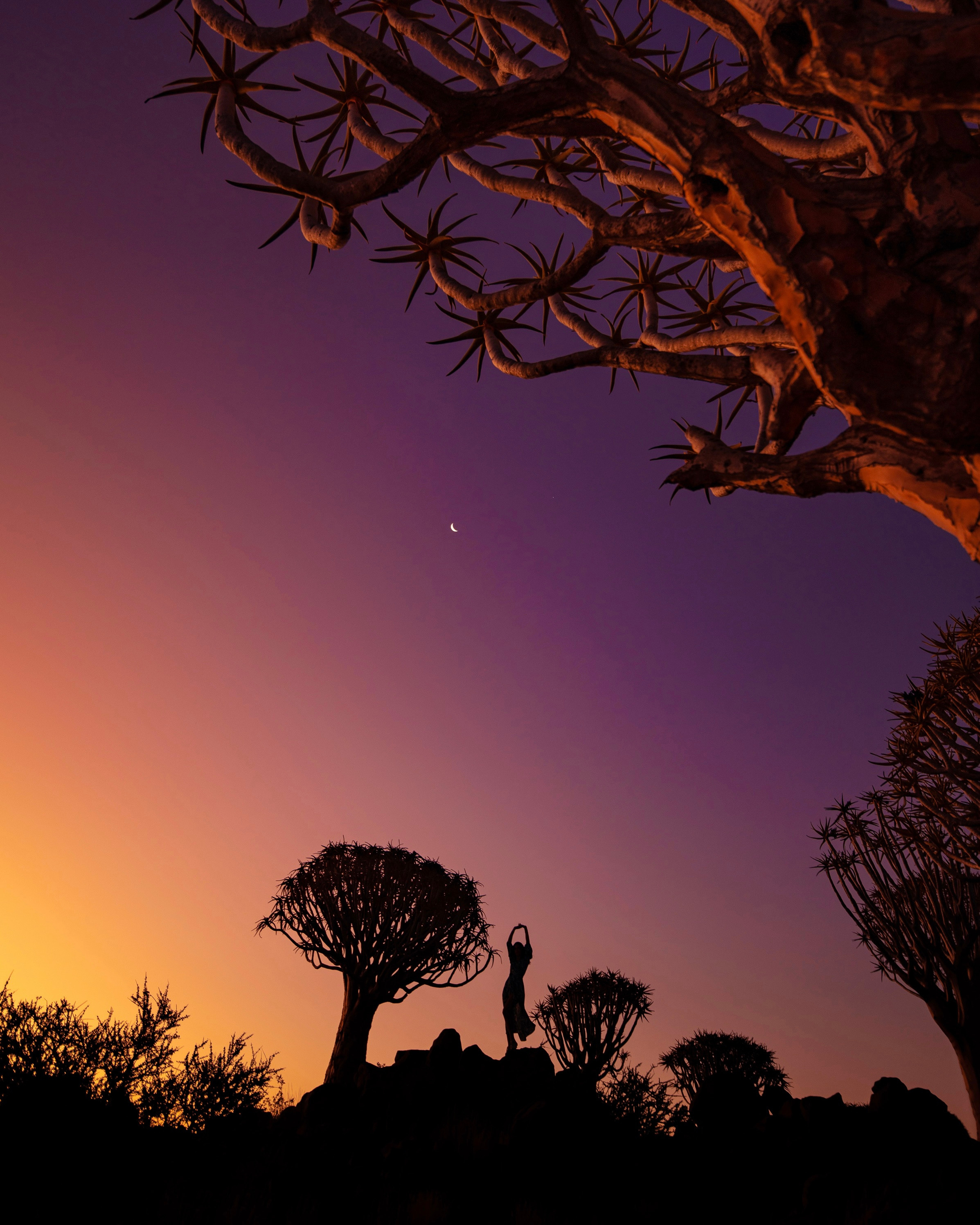 Путешествия