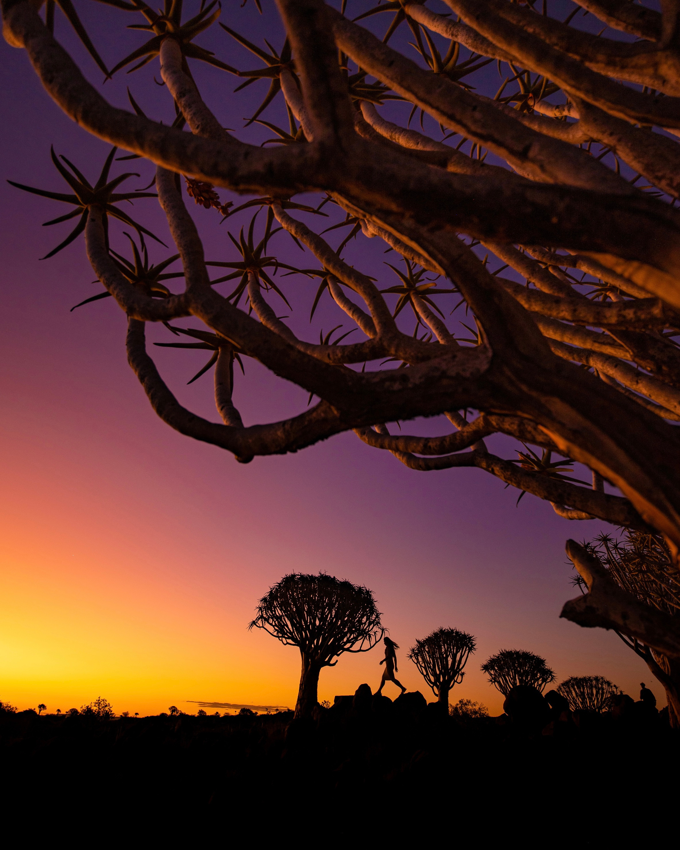 Путешествия