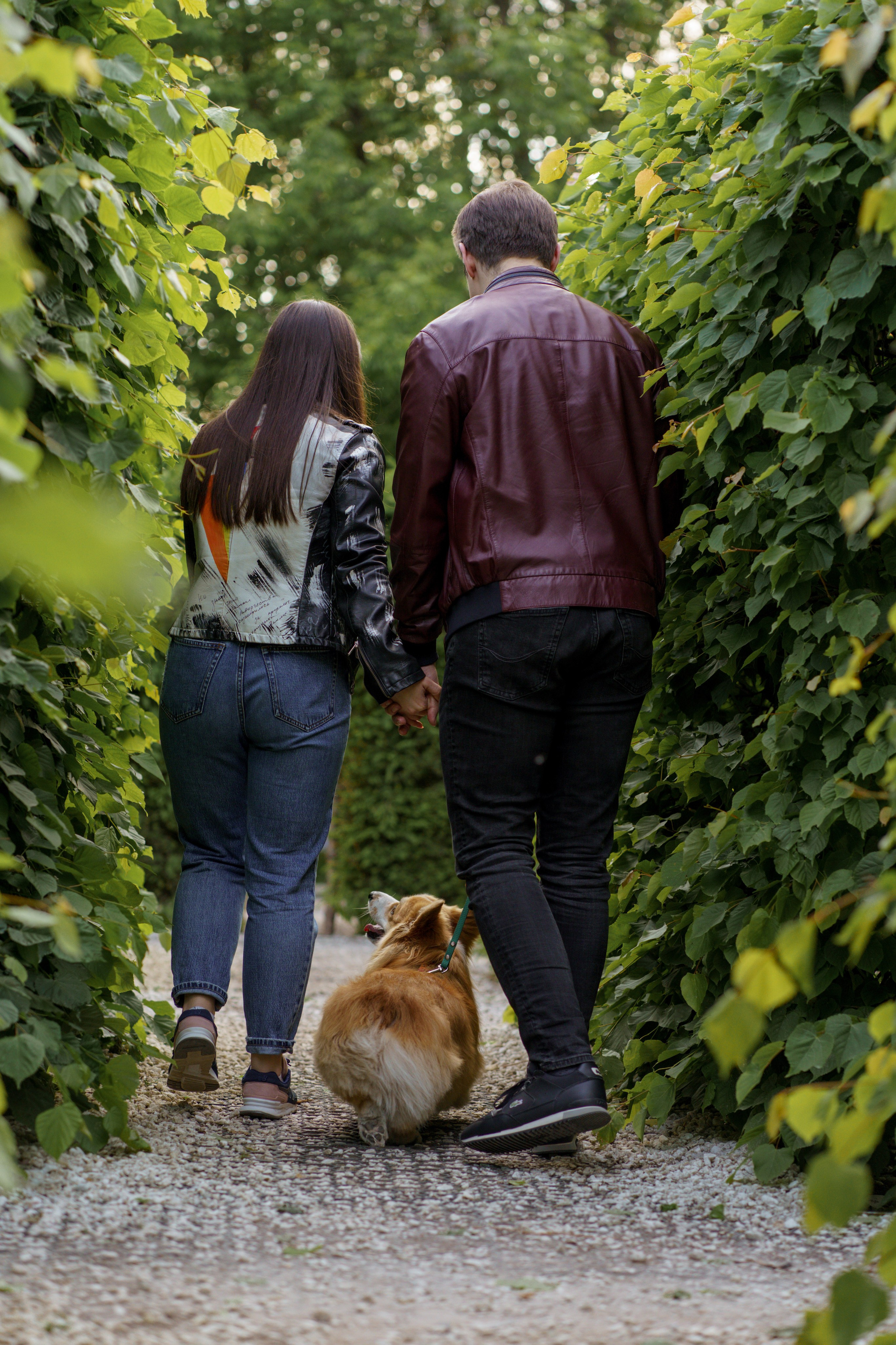 Катя, Арсений и Пух. Свадебный фотограф в Москве Анна Полушина