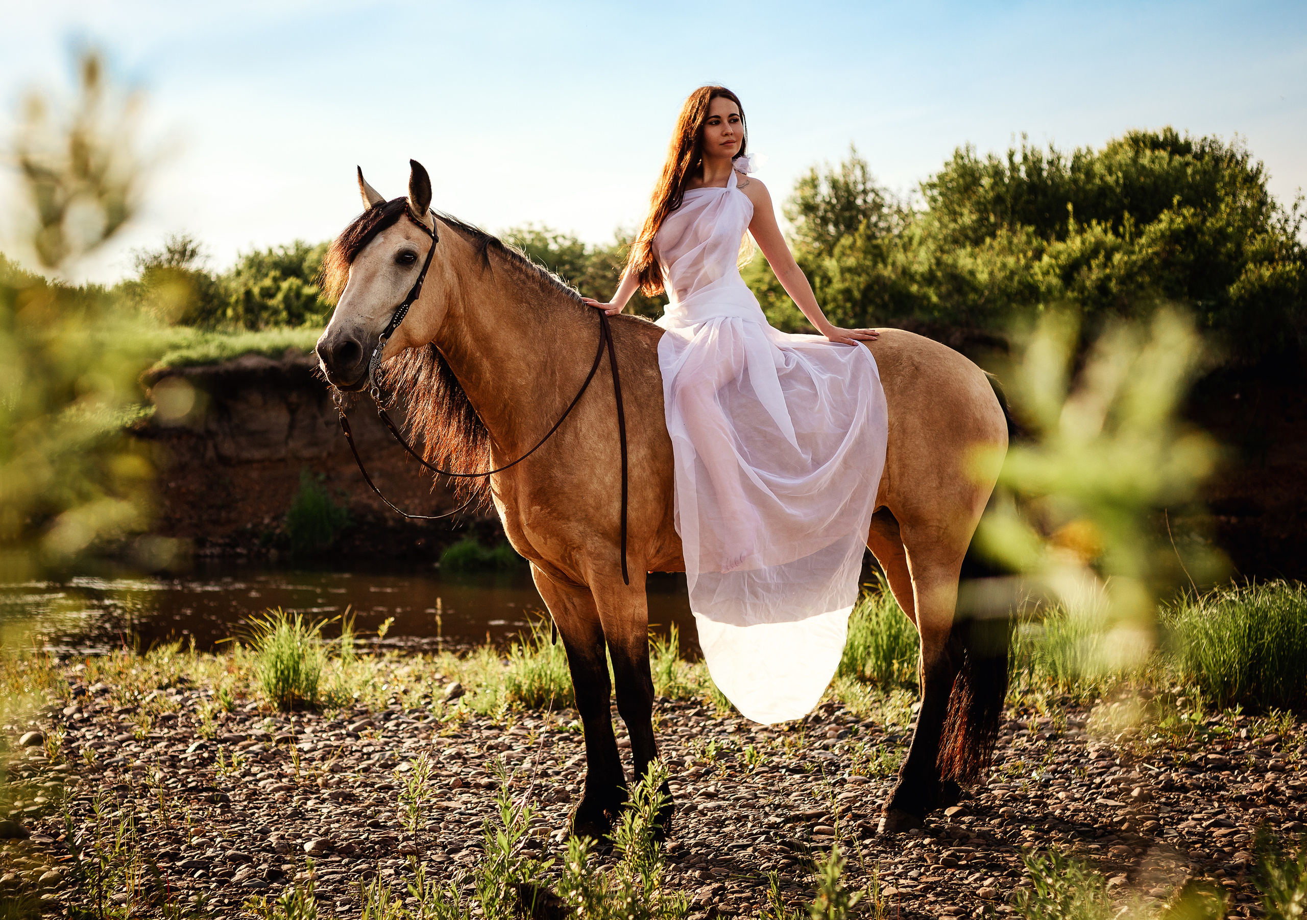 Фотопроект «Конный Двор». Ирина Ананич. Фотограф в Красноярске