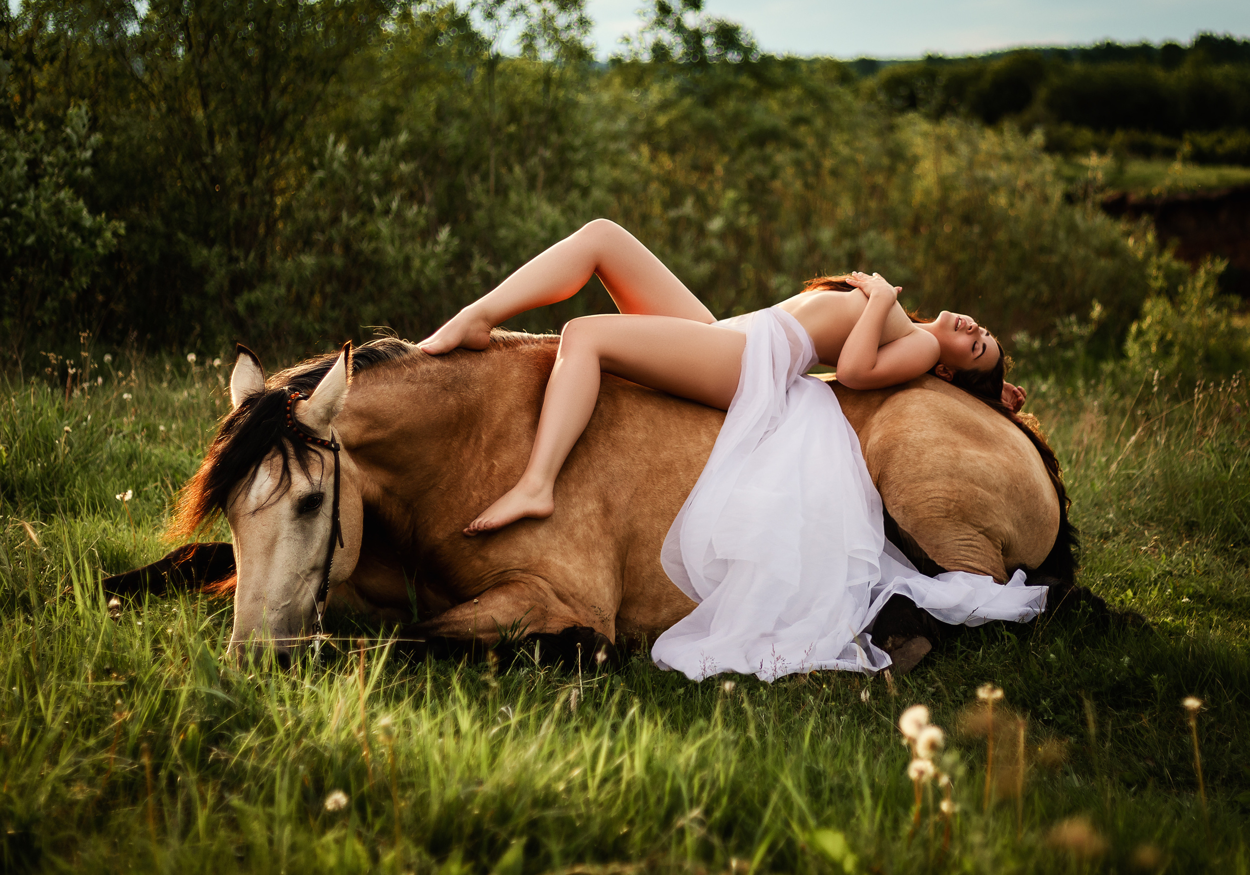 Фотопроект «Конный Двор». Ирина Ананич. Фотограф в Красноярске