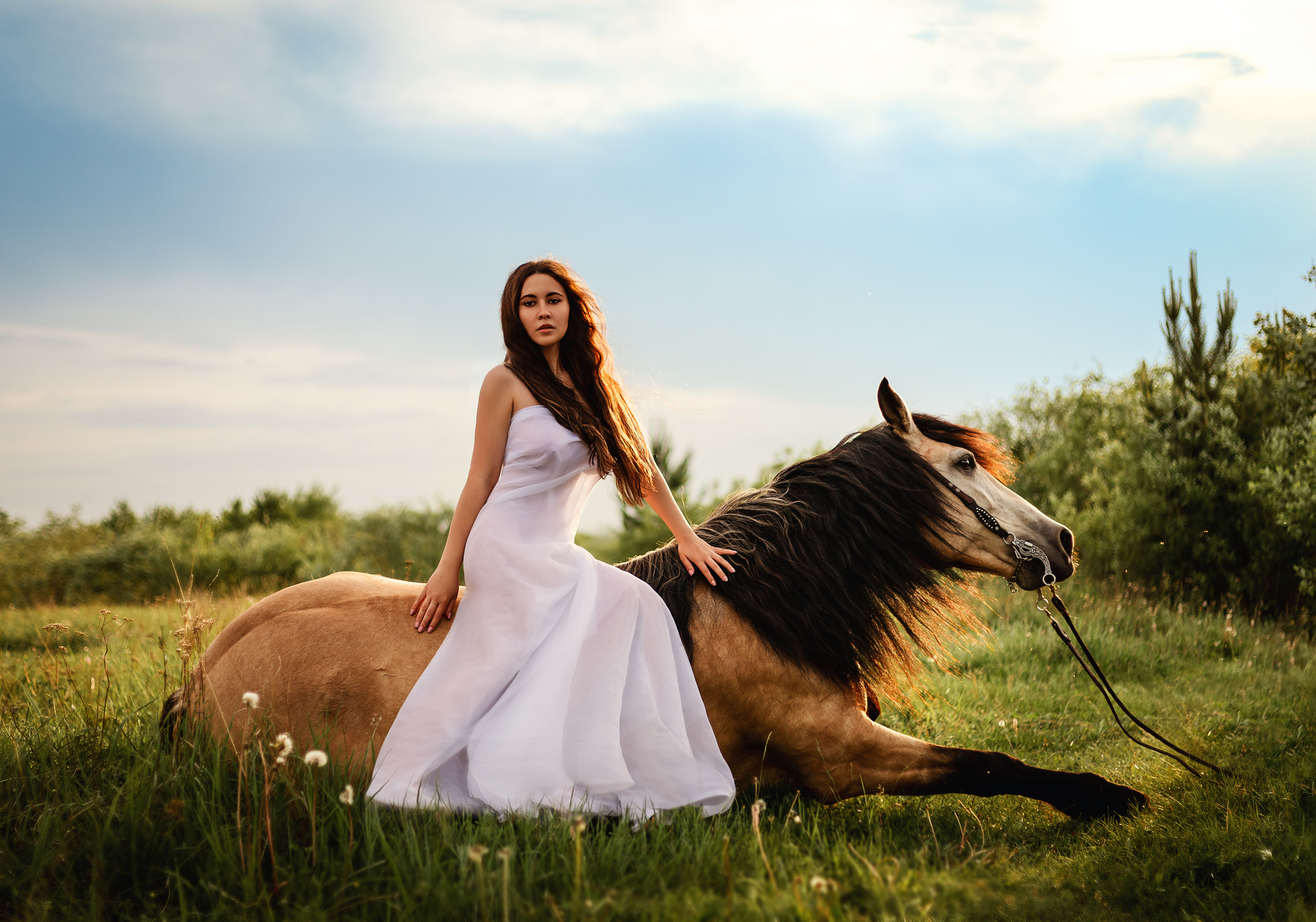 Фотопроект «Конный Двор». Ирина Ананич. Фотограф в Красноярске