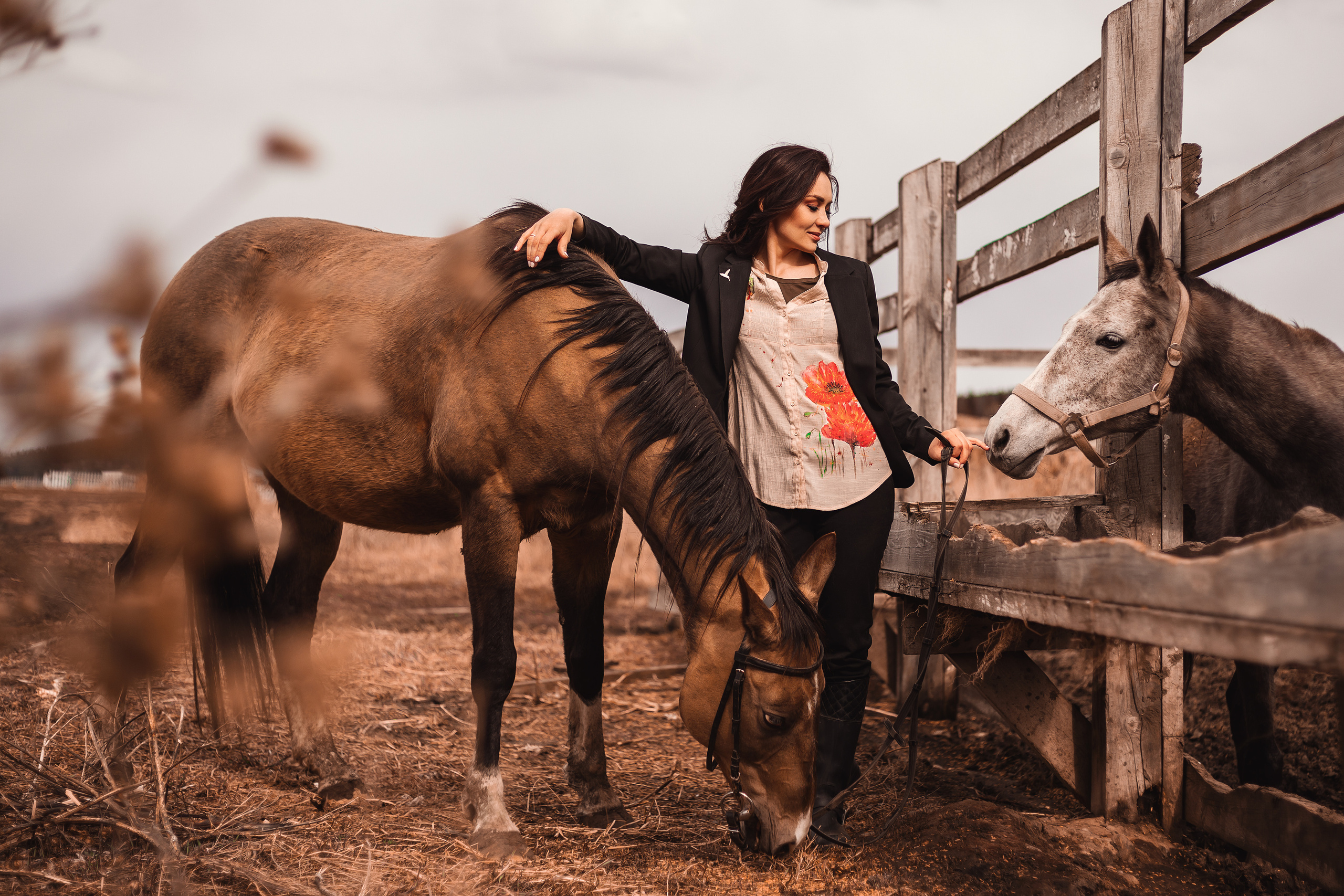 Фотопроект «Конный Двор». Ирина Ананич. Фотограф в Красноярске