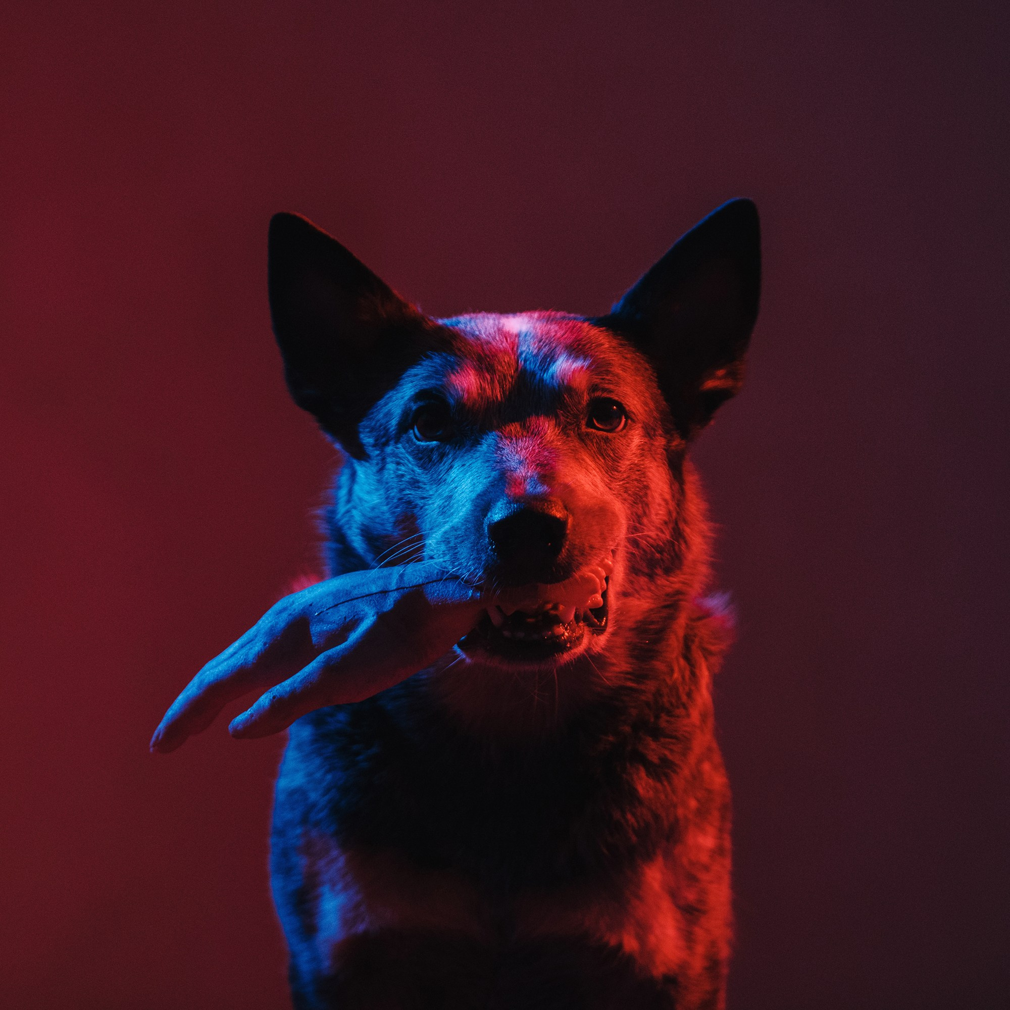 Чистое творчество. Фотограф Анна Тюрина