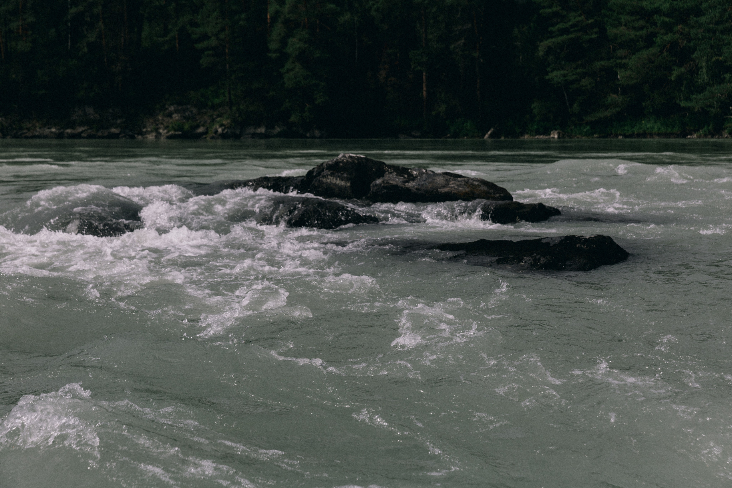 Алтай, природа и эстетика. Александр Чернин. Семейный и событийный фотограф