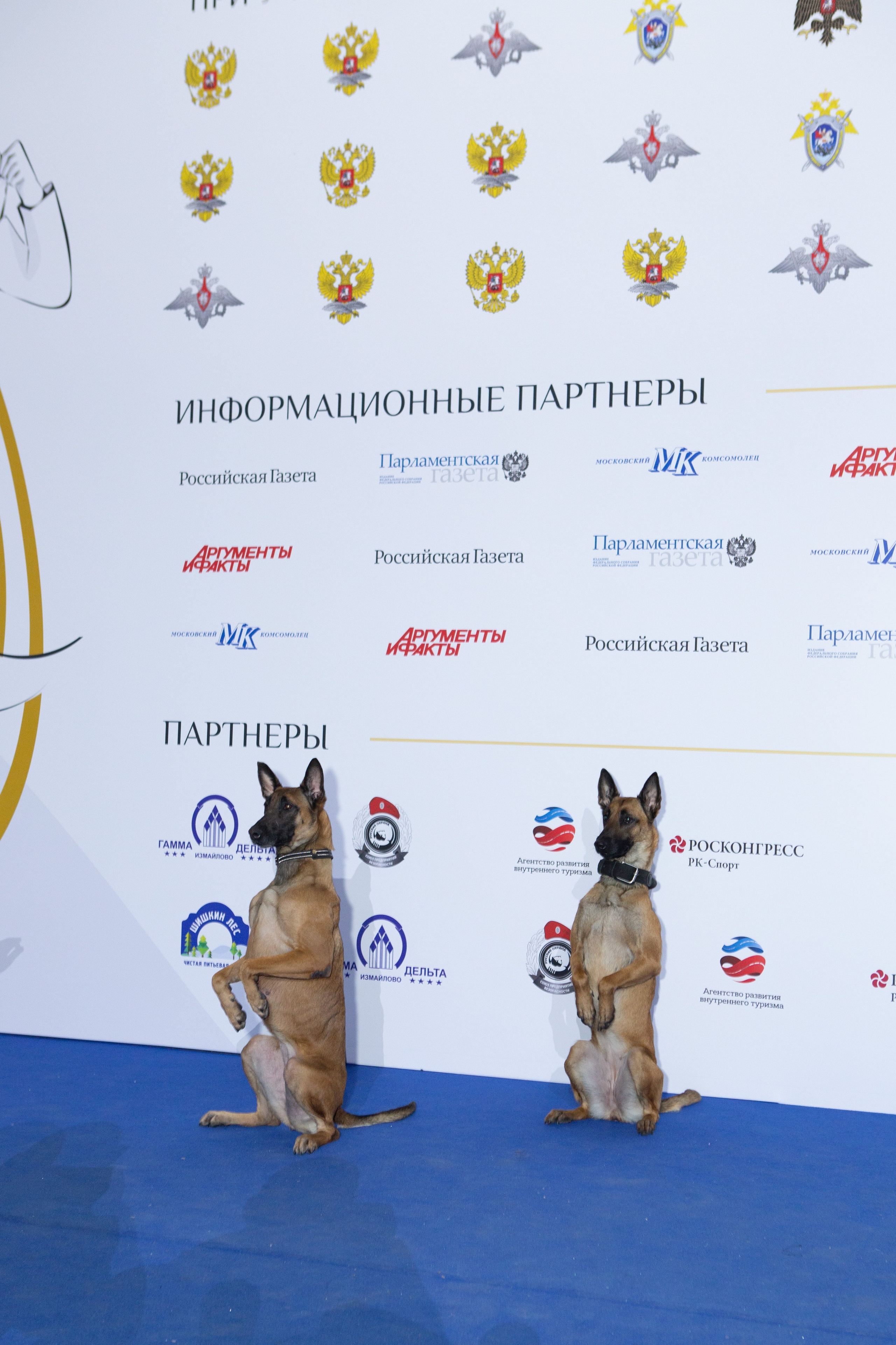 VIII «Международный Кремлёвский Благотворительный Кадетский Бал». Рекламный, предметный, репортажный, семейный фотограф и художник в Москве