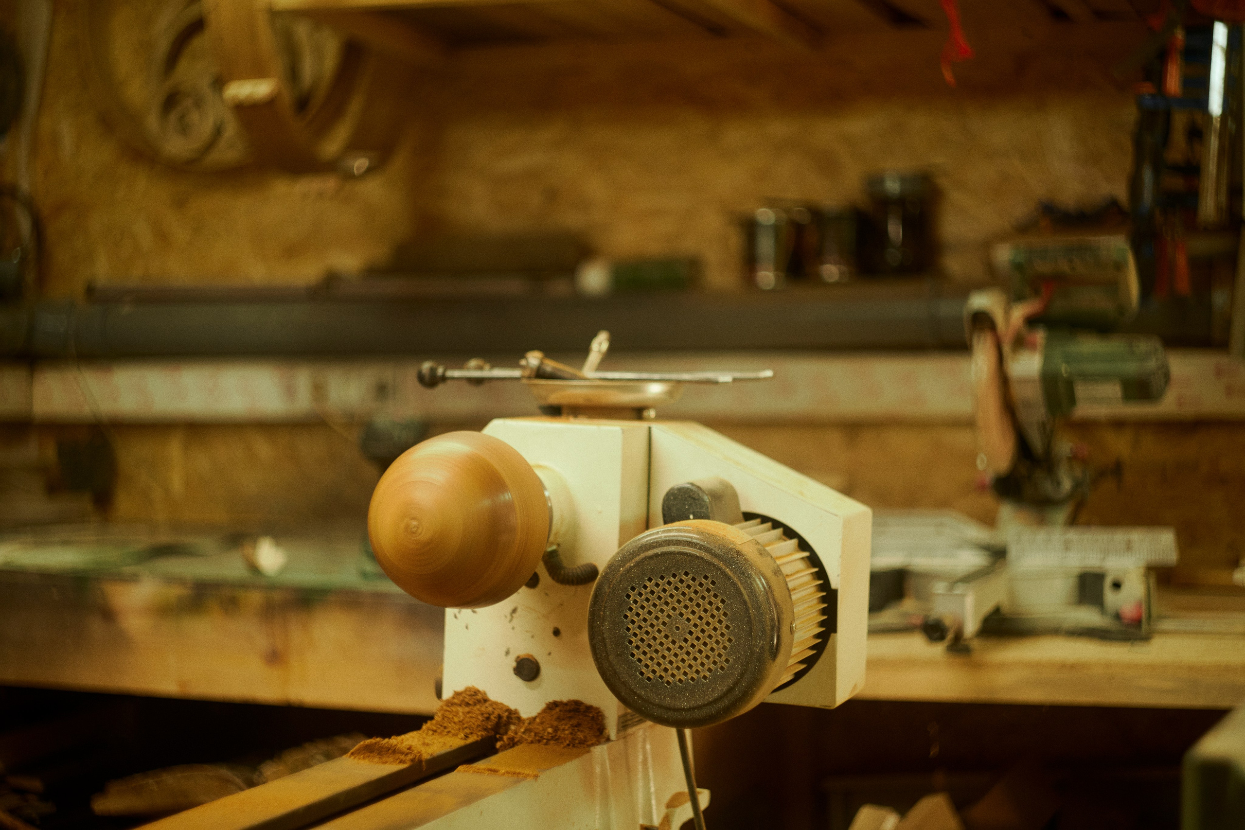 Столяр Алексей. Портретный фотограф в Москве