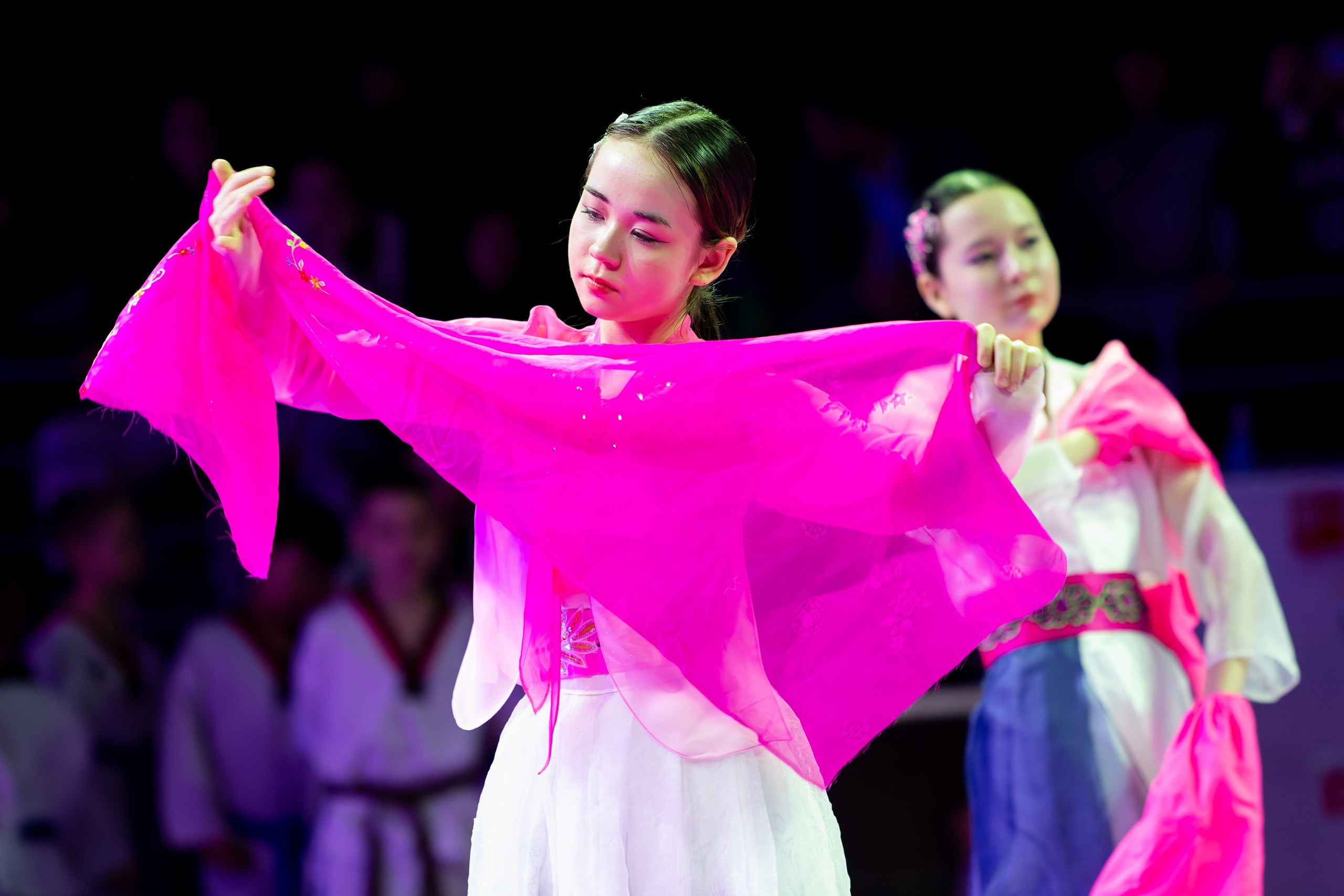 Дальневосточный фестиваль восточных единоборств. Кутузов Евгений Фотограф в Южно-Сахалинске