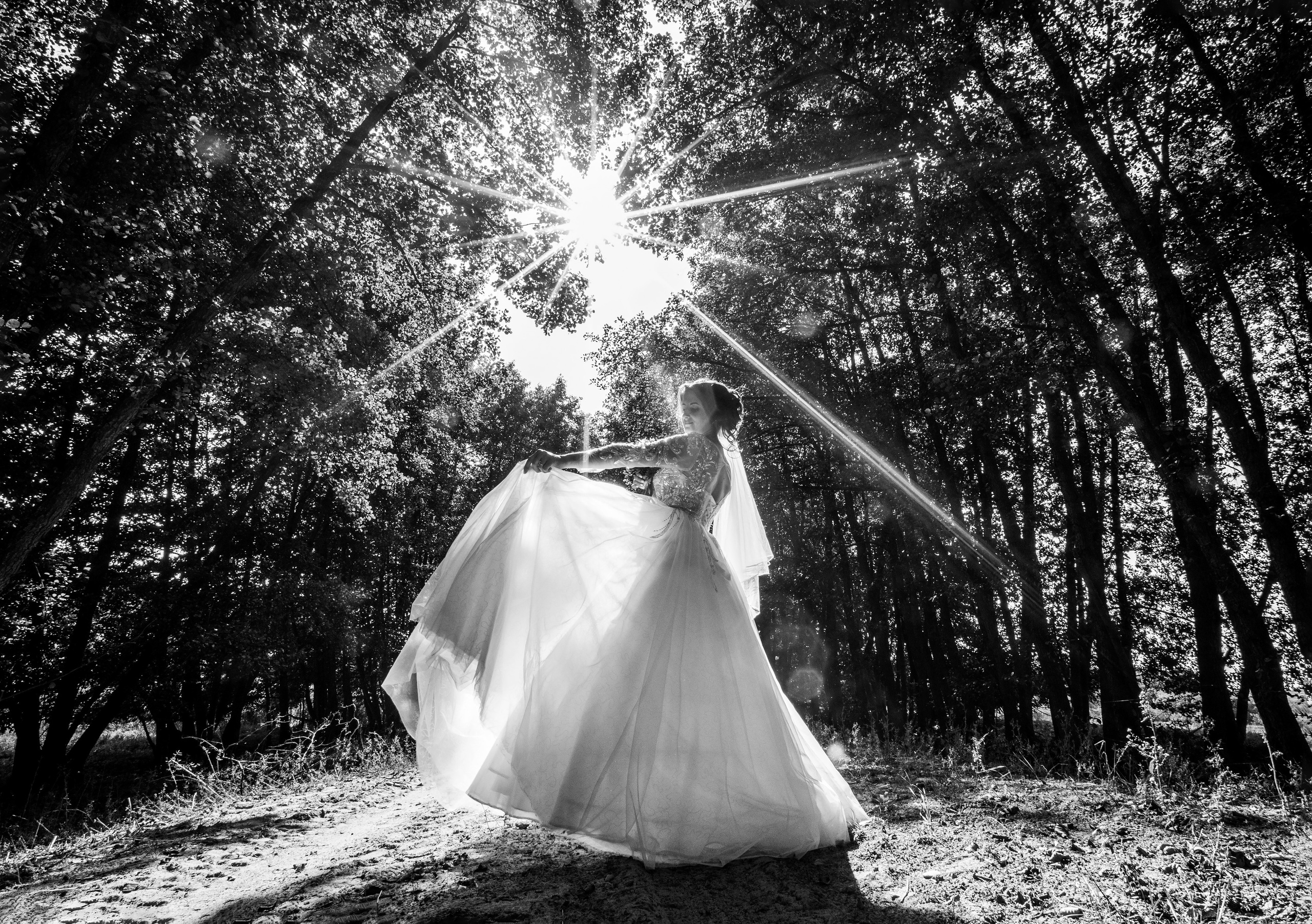 Свадьба Вячеслава и Виктории. Фотограф Петров Александр Свадьбы, Съемка в студии, Выпускные альбомы г. Балашов