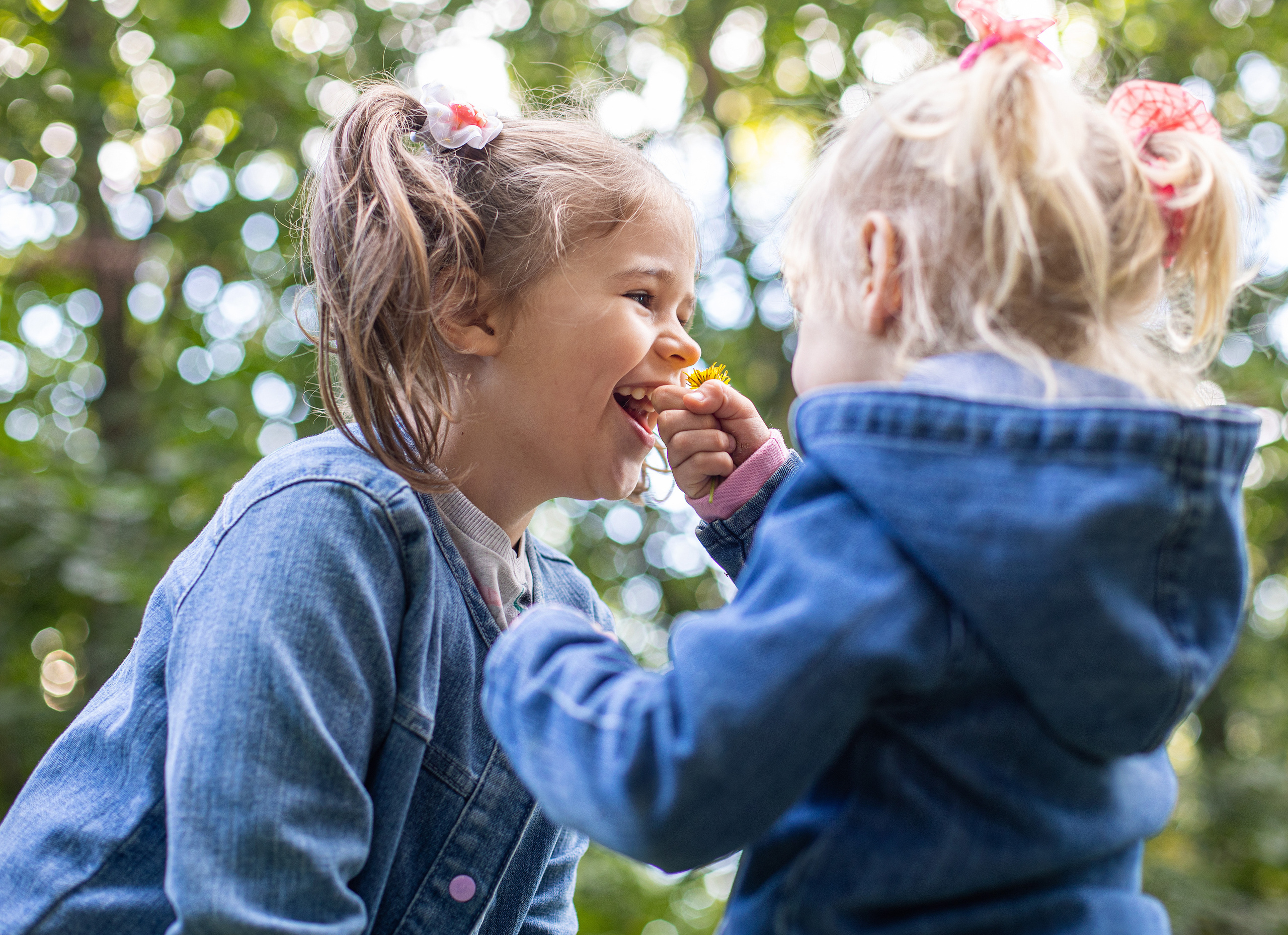 Фотопрогулки. Фотограф Петров Александр Свадьбы, Съемка в студии, Выпускные альбомы г. Балашов