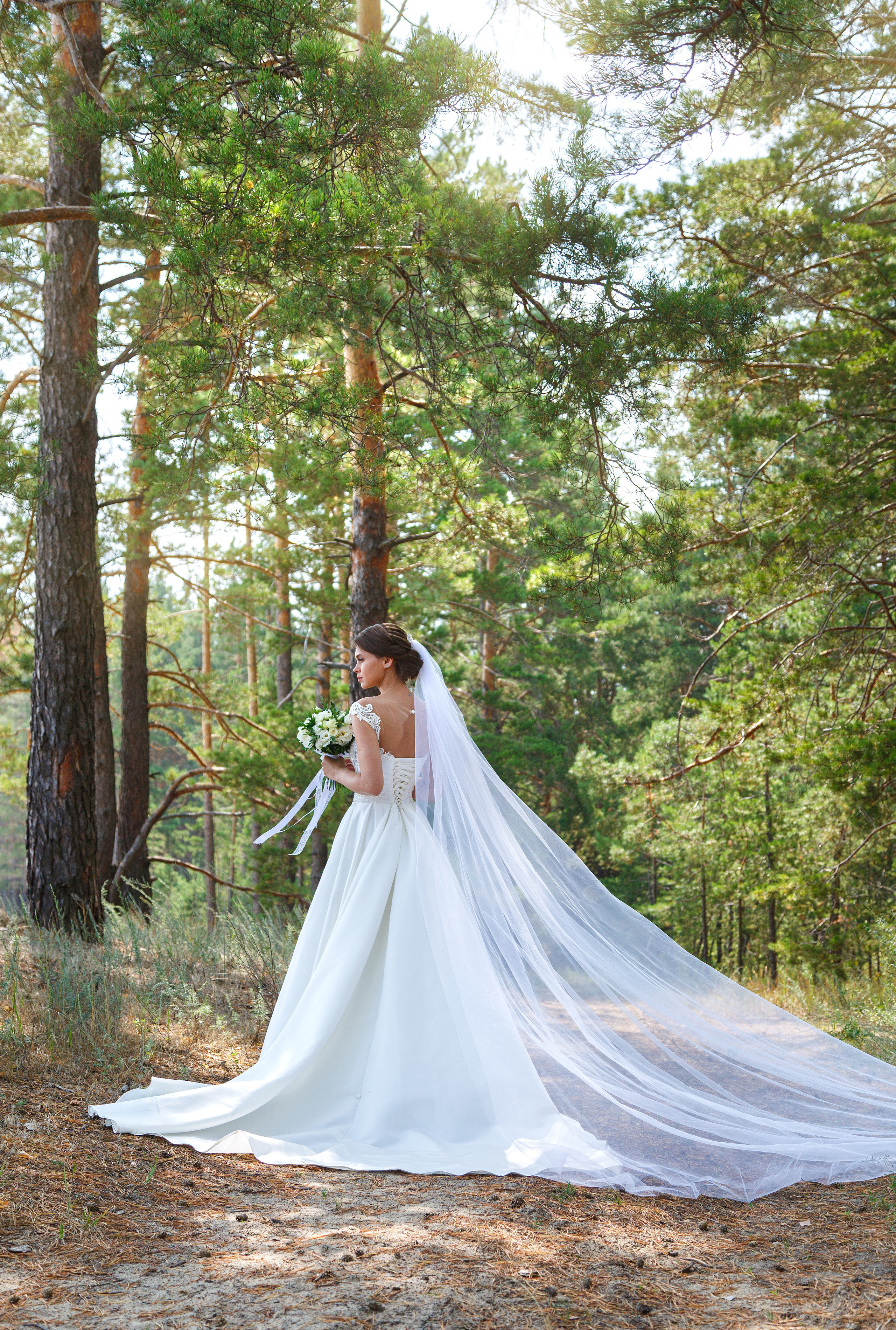 Свадьба Александра и Ксении. Фотограф Петров Александр Свадьбы, Съемка в студии, Выпускные альбомы г. Балашов