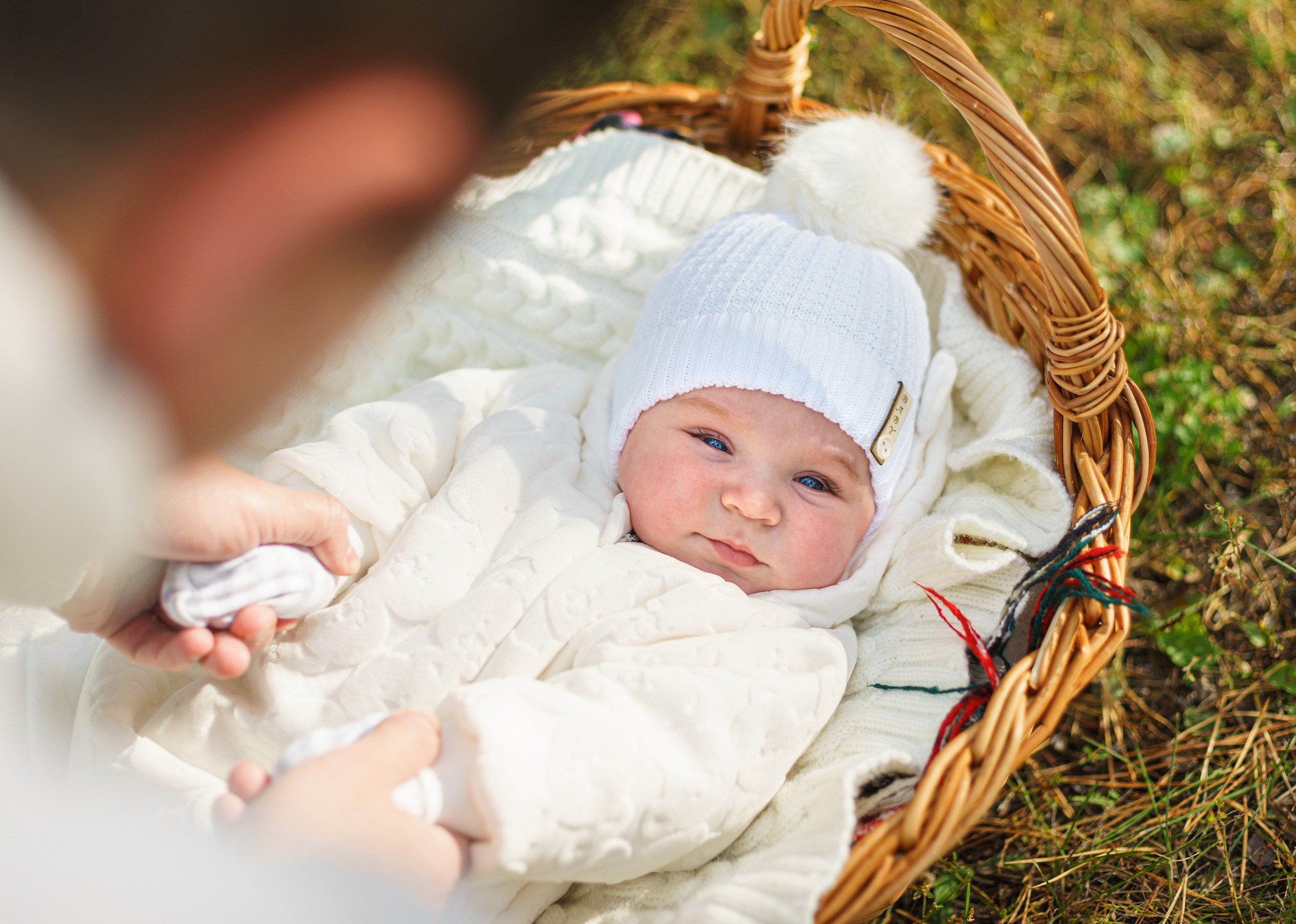 Фотопрогулки. Фотограф Петров Александр Свадьбы, Съемка в студии, Выпускные альбомы г. Балашов