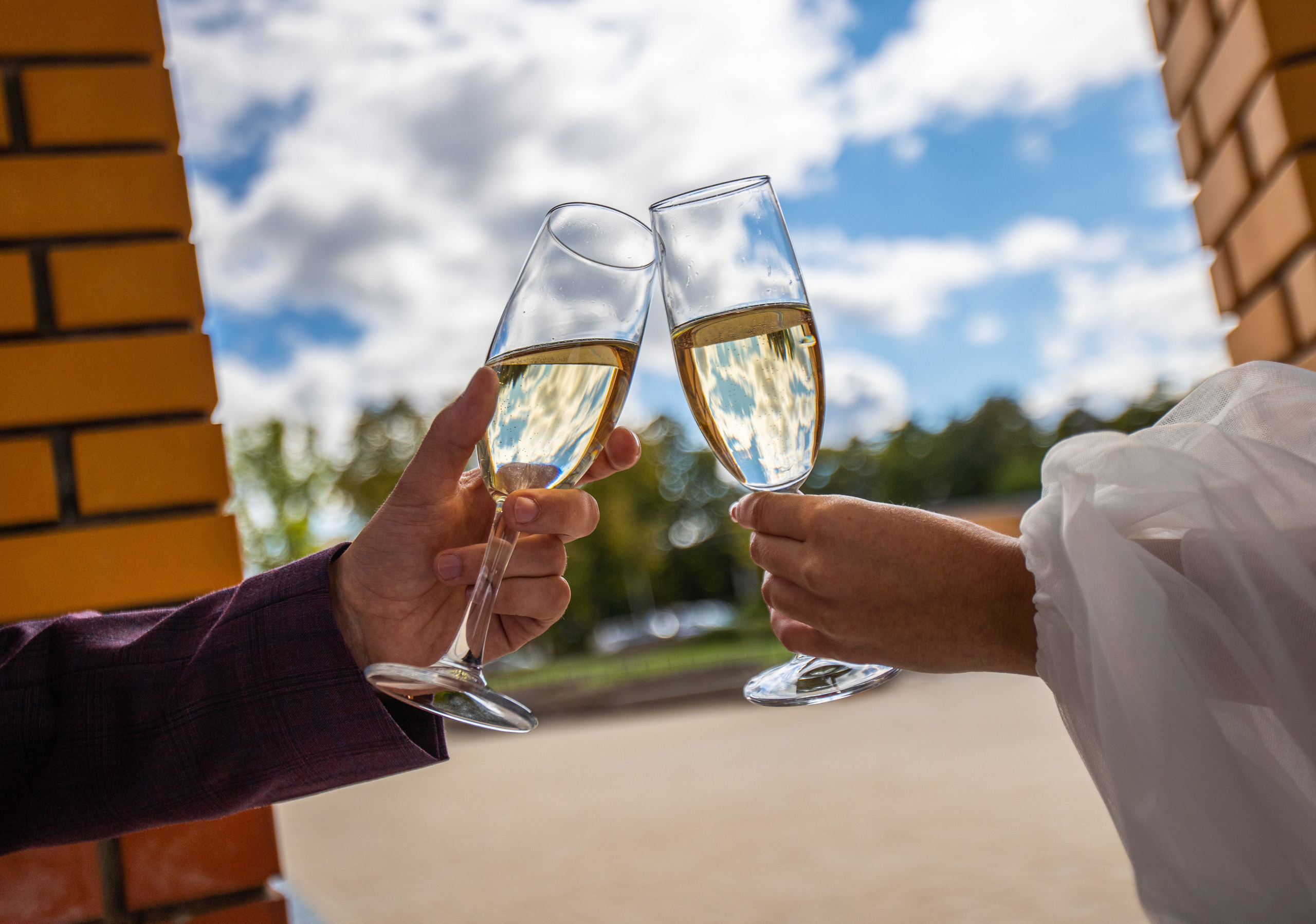 Свадьба Александра и Валерии. Фотограф Петров Александр Свадьбы, Съемка в студии, Выпускные альбомы г. Балашов