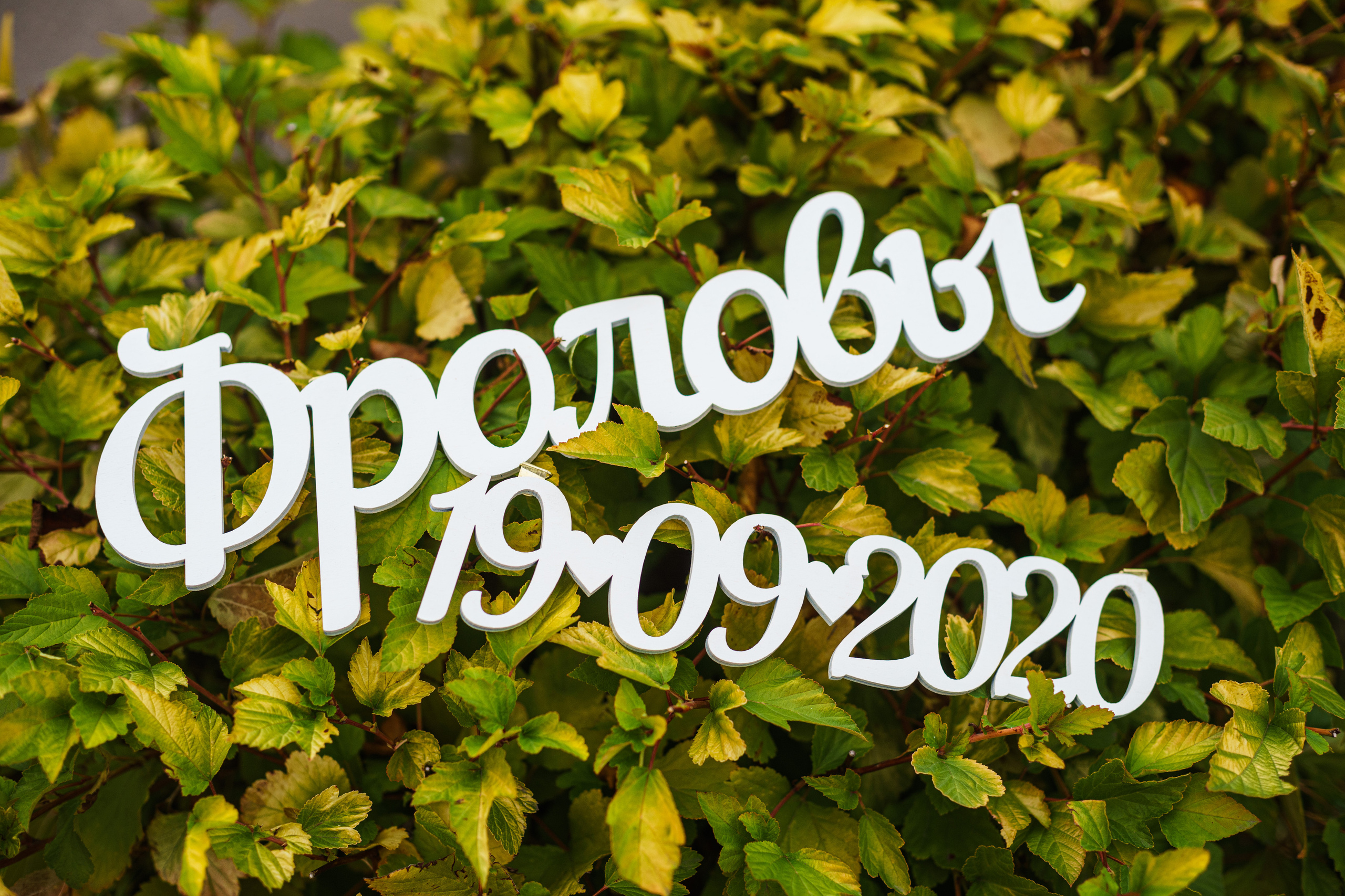 Свадьба Павла и Татьяны. Фотограф Петров Александр Свадьбы, Съемка в студии, Выпускные альбомы г. Балашов