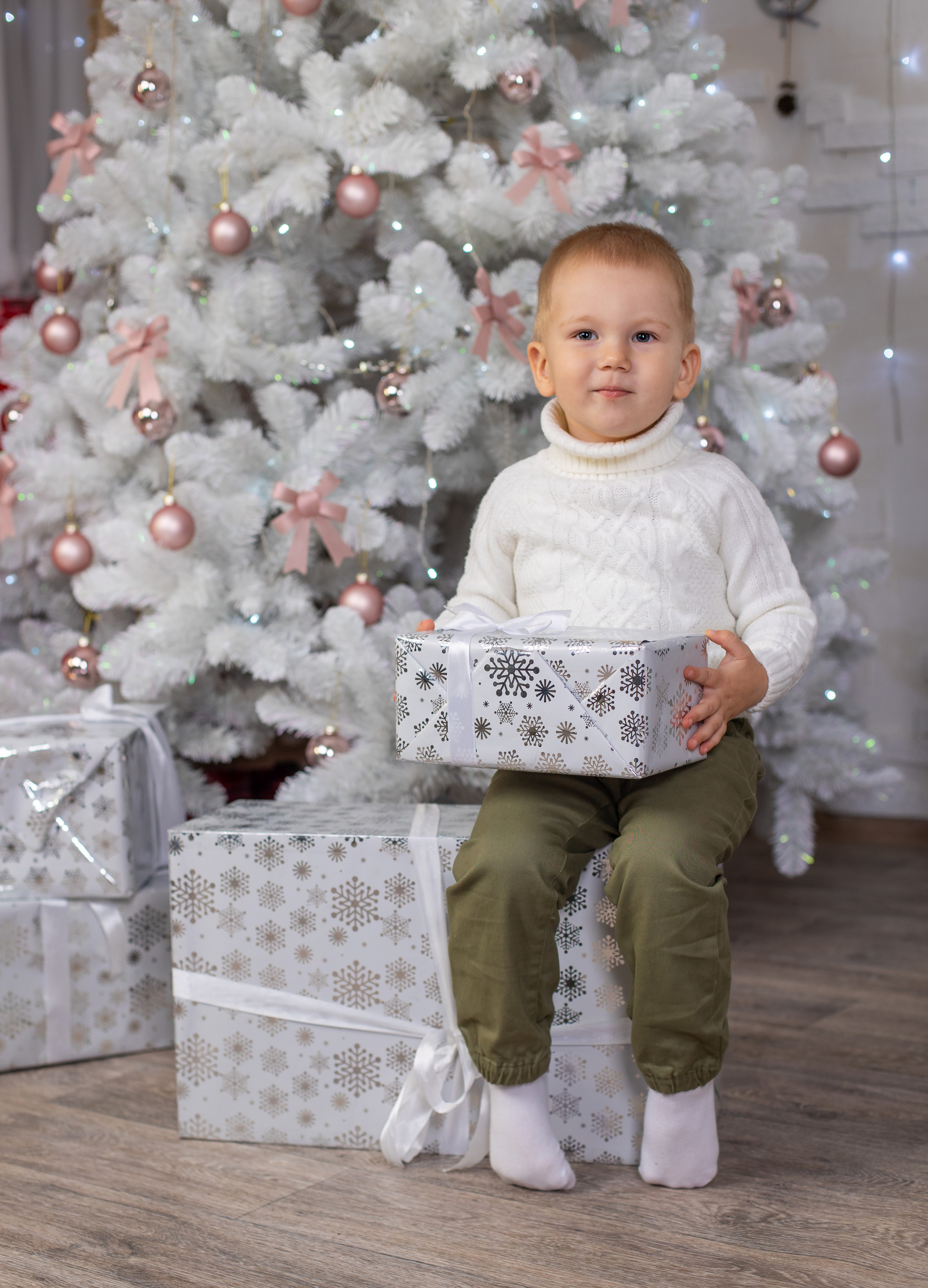 Новогодняя семейная история. Фотограф Петров Александр Свадьбы, Съемка в студии, Выпускные альбомы г. Балашов