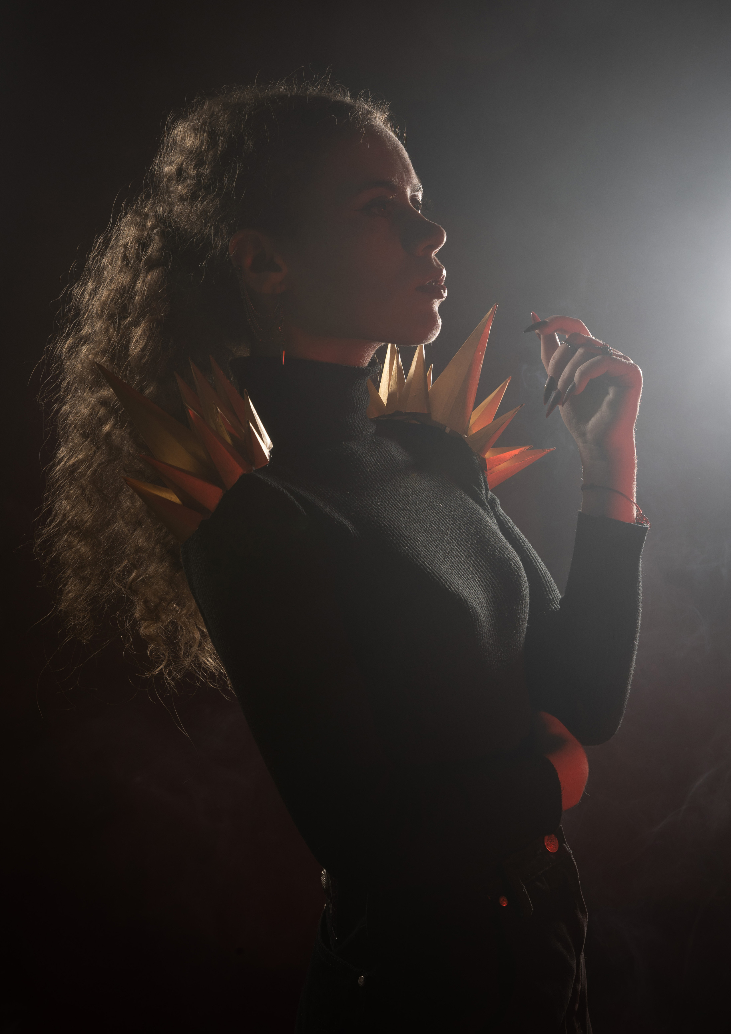 Red/Black. Фотограф Петров Александр Свадьбы, Съемка в студии, Выпускные альбомы г. Балашов