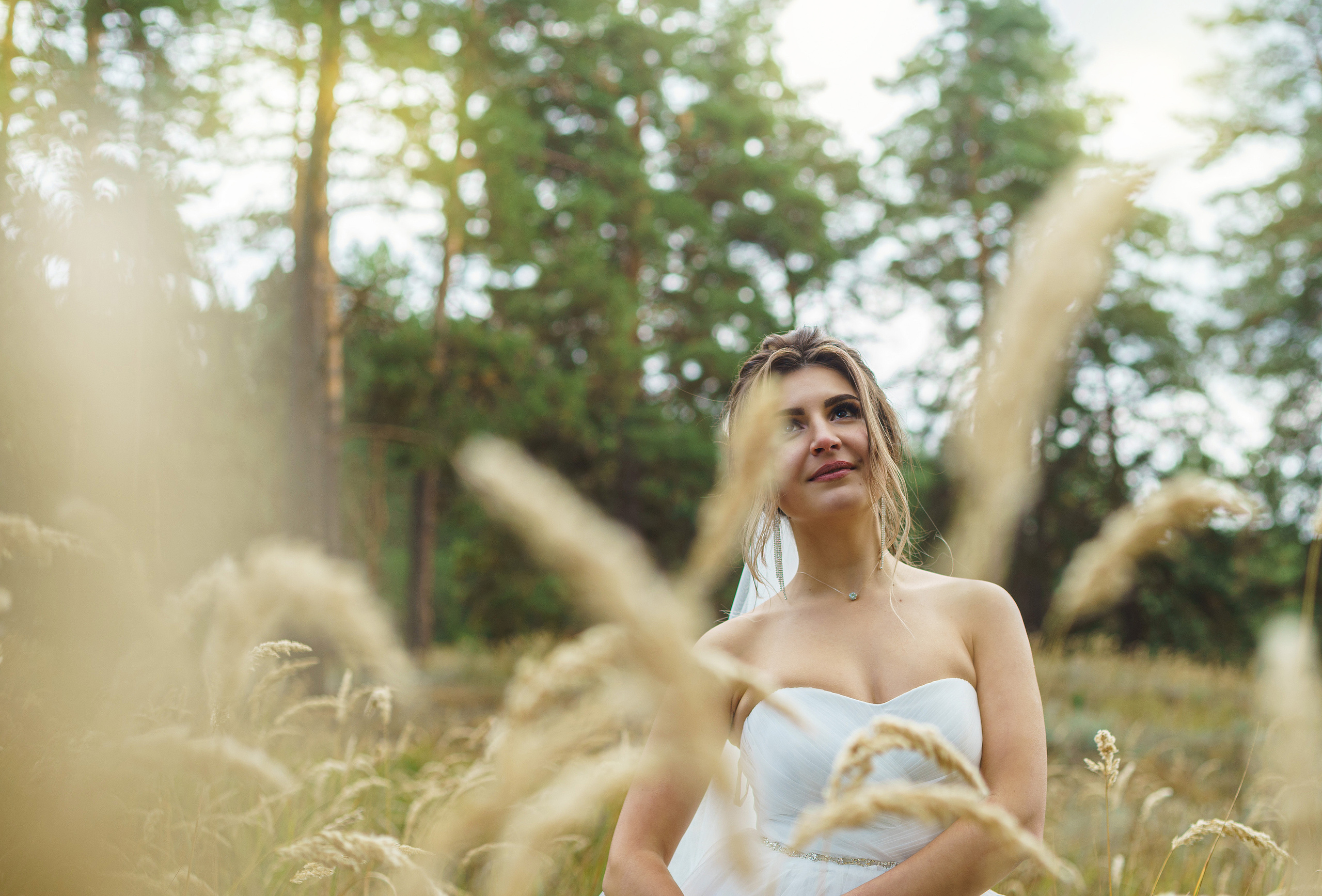 Свадьба Павла и Татьяны. Фотограф Петров Александр Свадьбы, Съемка в студии, Выпускные альбомы г. Балашов