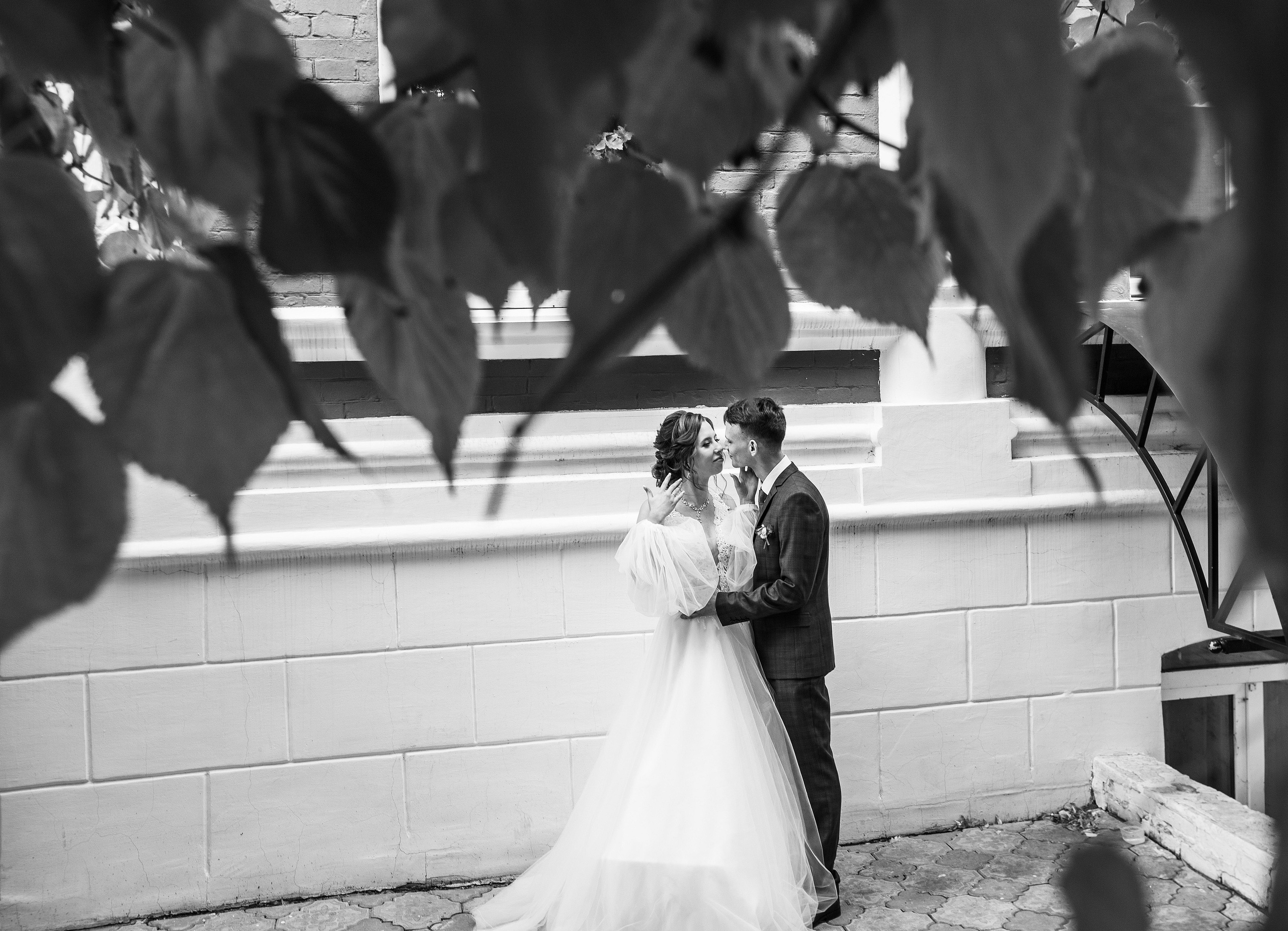 Свадьба Александра и Валерии. Фотограф Петров Александр Свадьбы, Съемка в студии, Выпускные альбомы г. Балашов