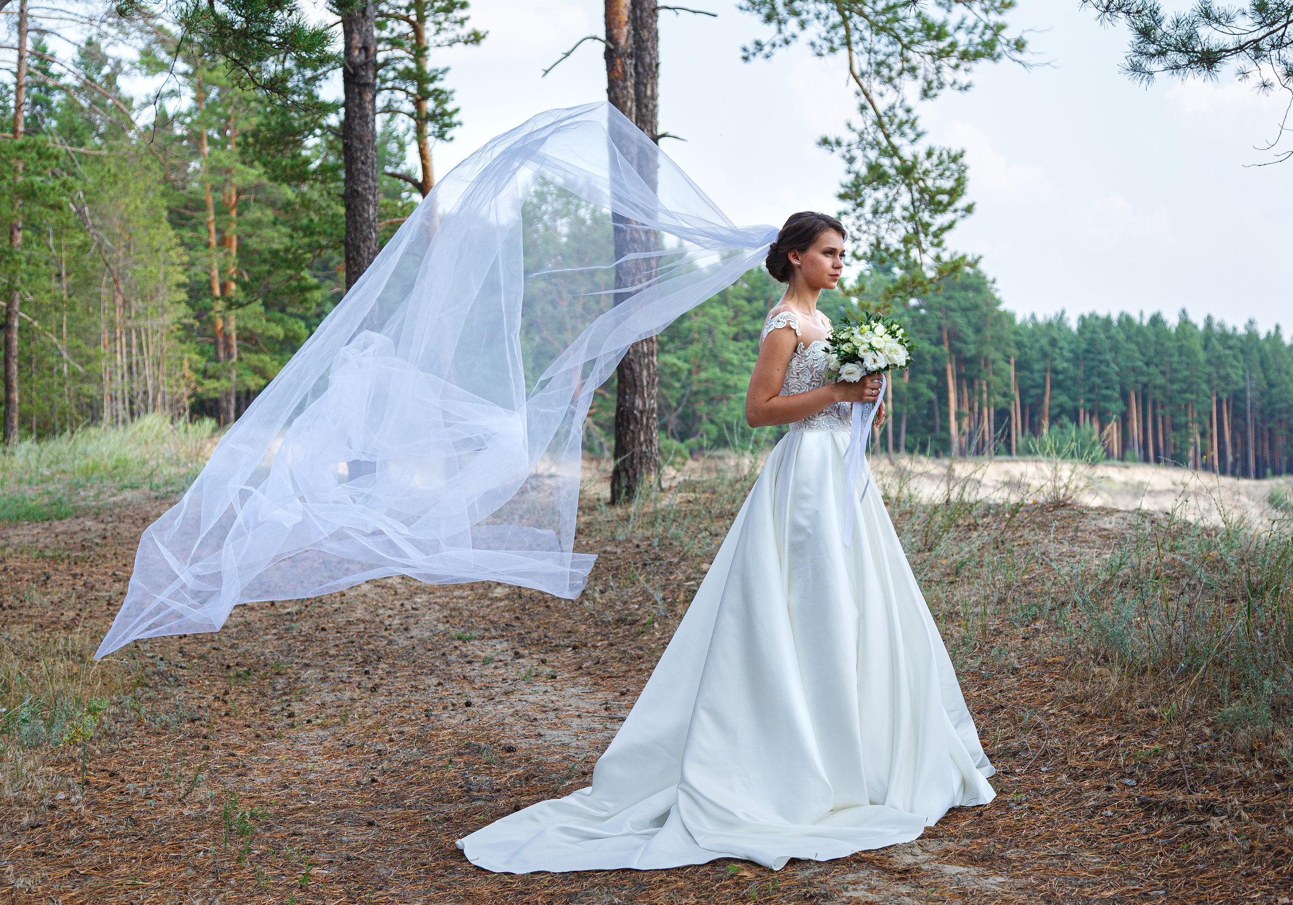 Свадьба Александра и Ксении. Фотограф Петров Александр Свадьбы, Съемка в студии, Выпускные альбомы г. Балашов