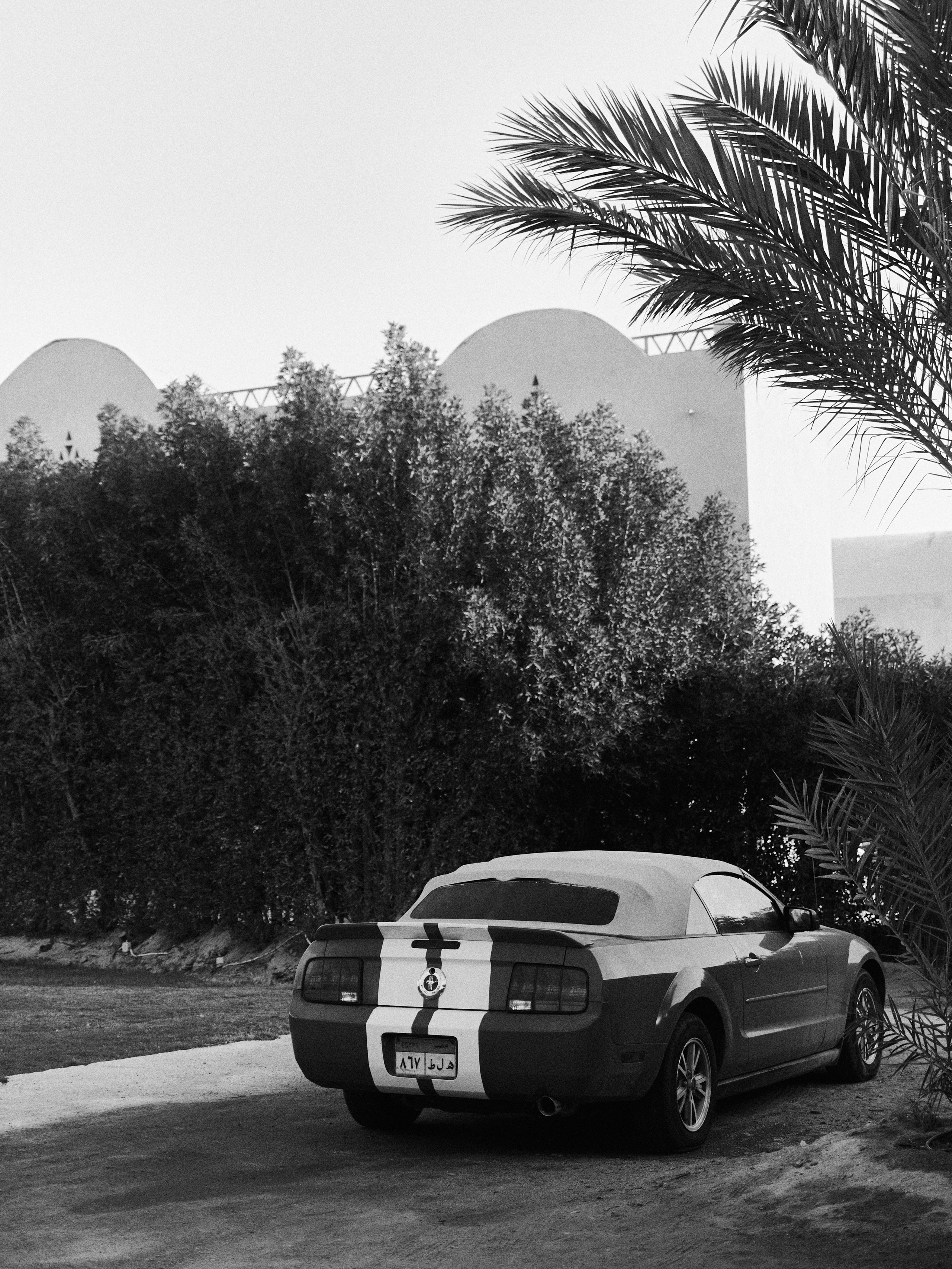 B&W. Jorgis — фотограф в Хургаде / обучение фотографии