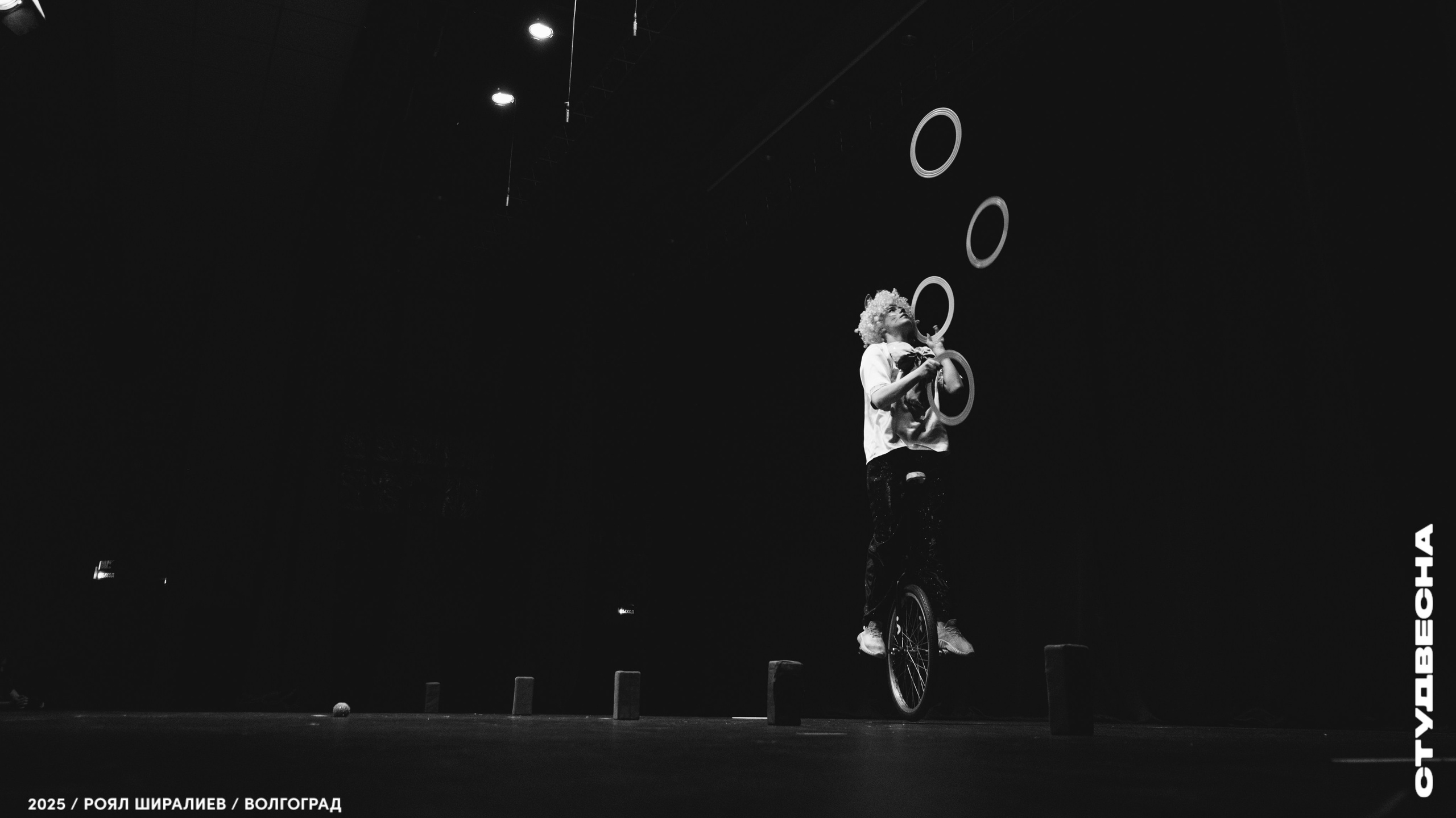 Студенческая весна | Регион | 2025. Royal Shirali