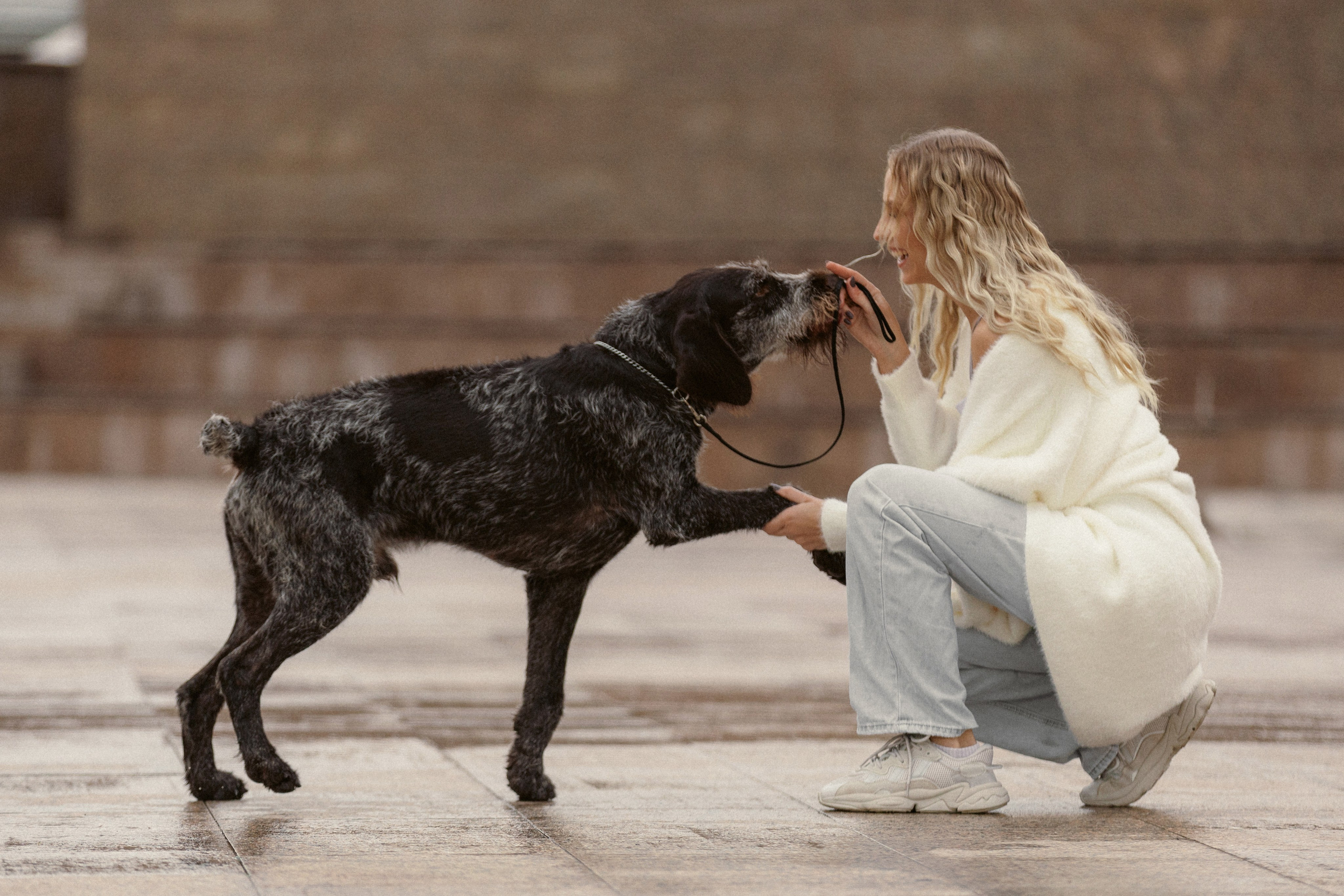 Фотосессии с собаками (для владельцев). Конный фотограф Валынкина Лера