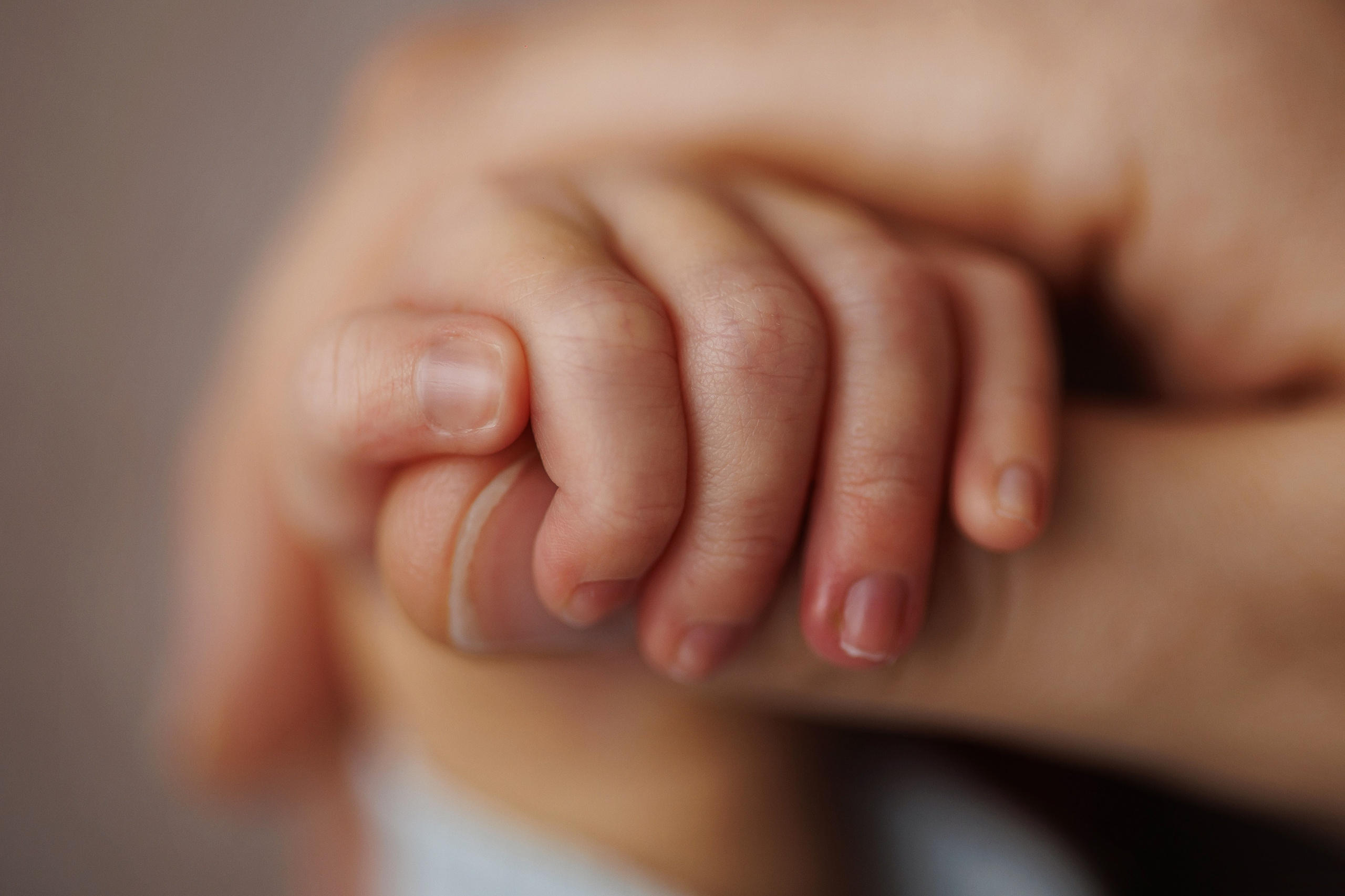 Новорожденные. Фотограф новорожденных в Сочи Екатерина Вялова