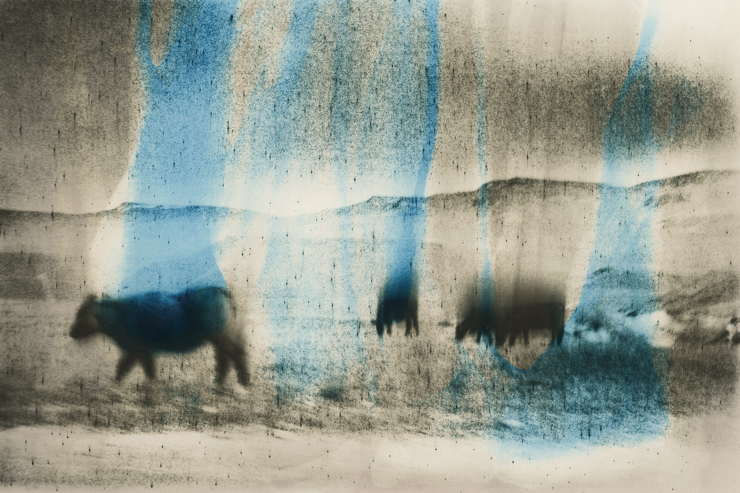 Dmitry Gudimenko | Analog visual artist