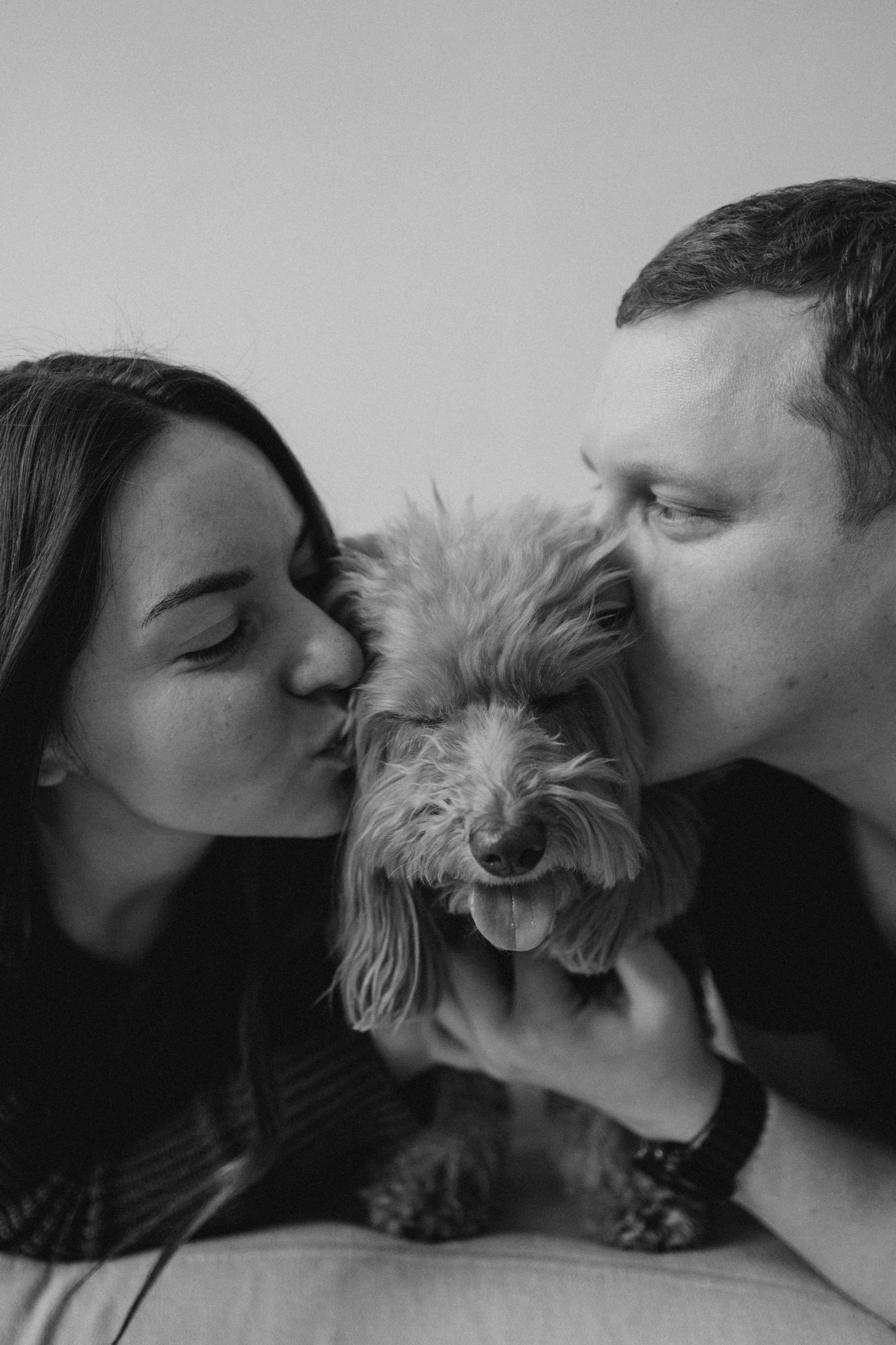 Шкипер и его семья. Фотограф — Анималист | Санкт-Петербург