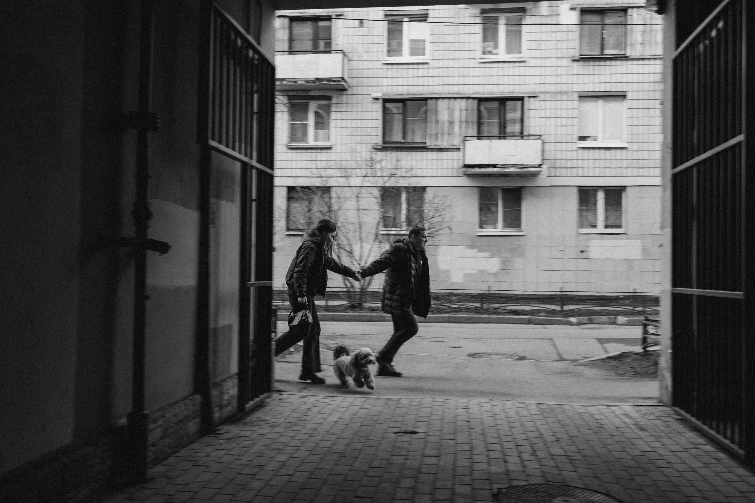 Шкипер и его семья. Фотограф — Анималист | Санкт-Петербург