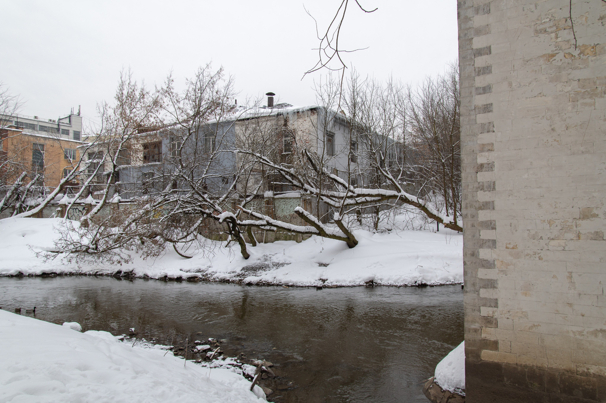 20240127 Ростокинский акведук. Дмитрий Ремизов. Фотография, как хобби