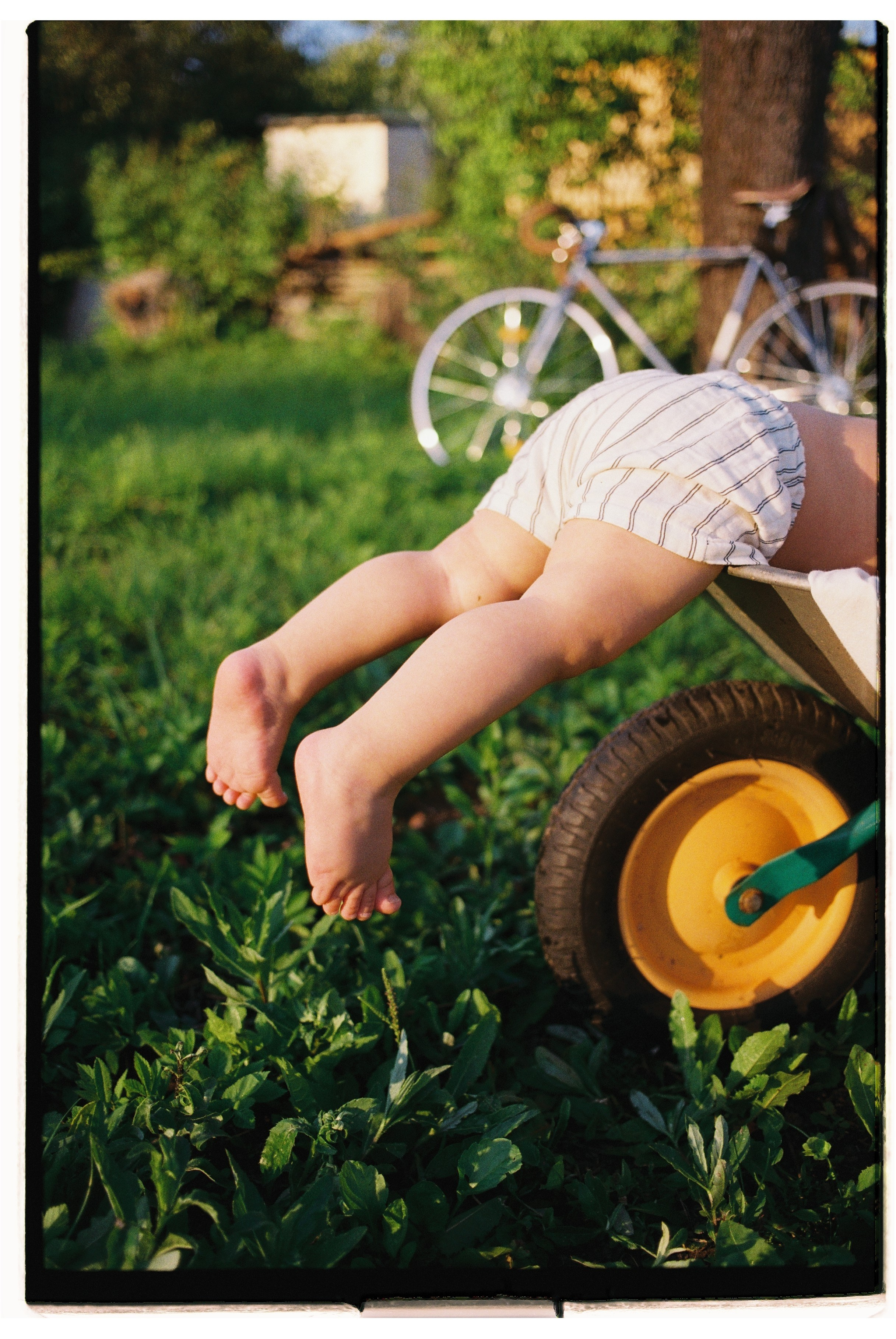 Дача. Свадебный фотограф Артем Смирнов