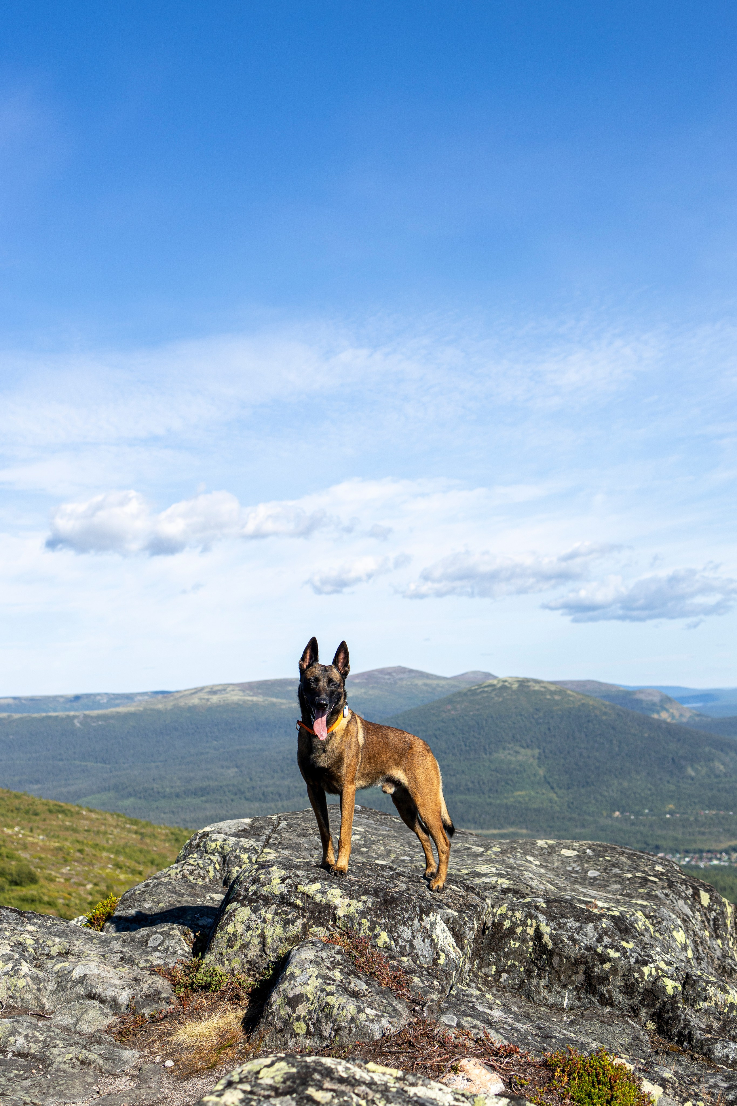 Горы. Фотограф-анималист Анна Маринич