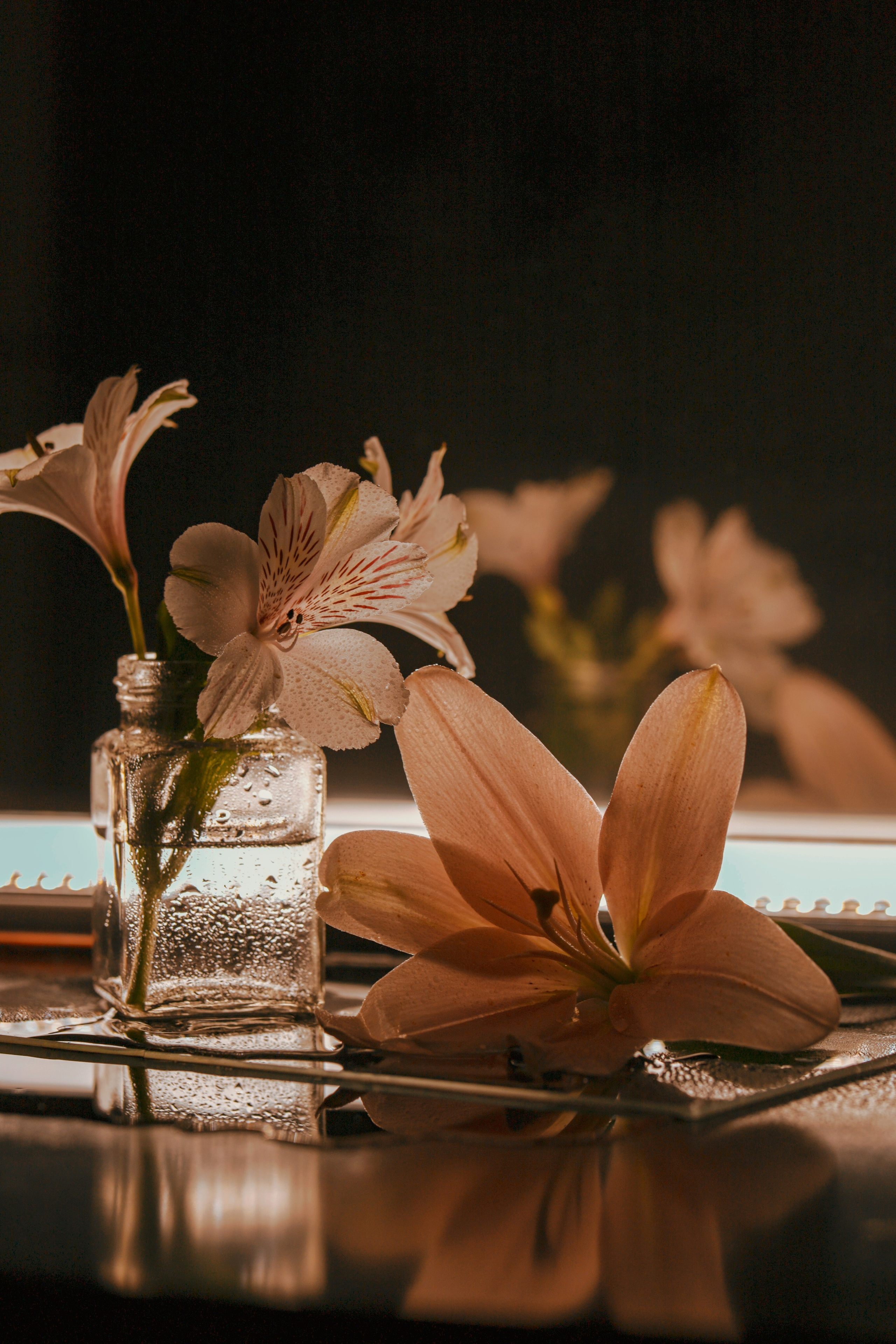 Природа &. Фотохудожник в СПб